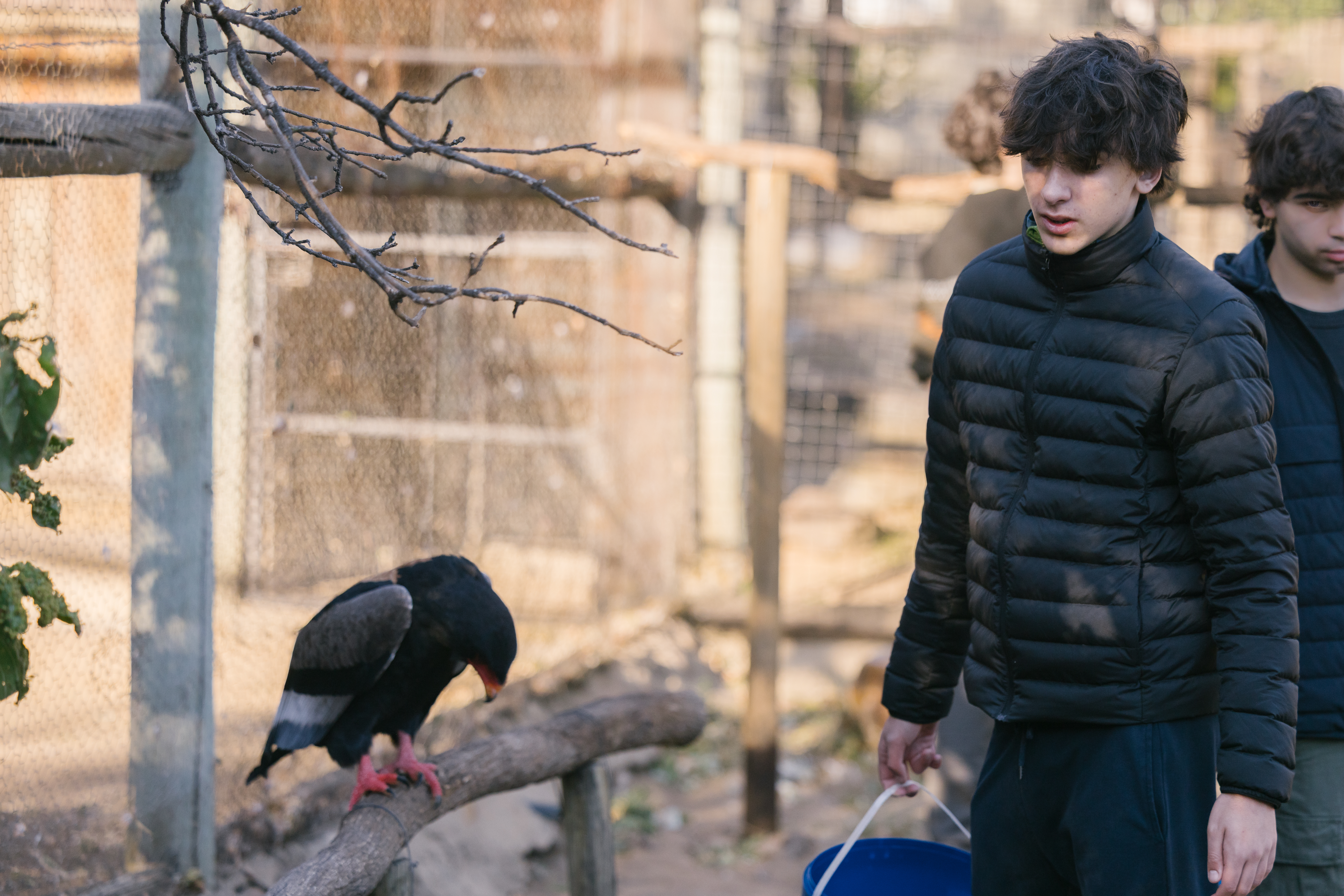 Student with a bird at Moholoholo