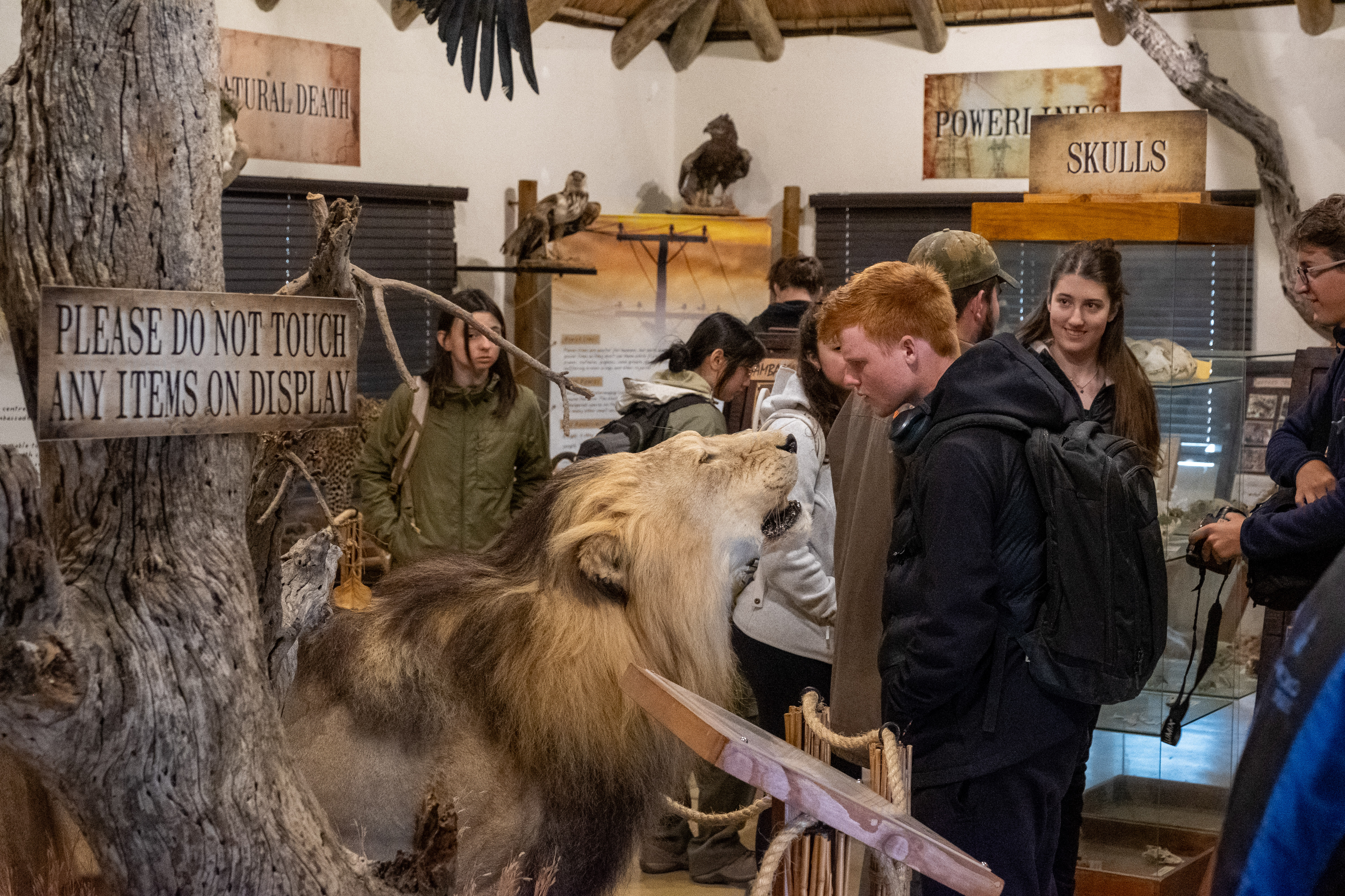 Students at Moholoholo museum