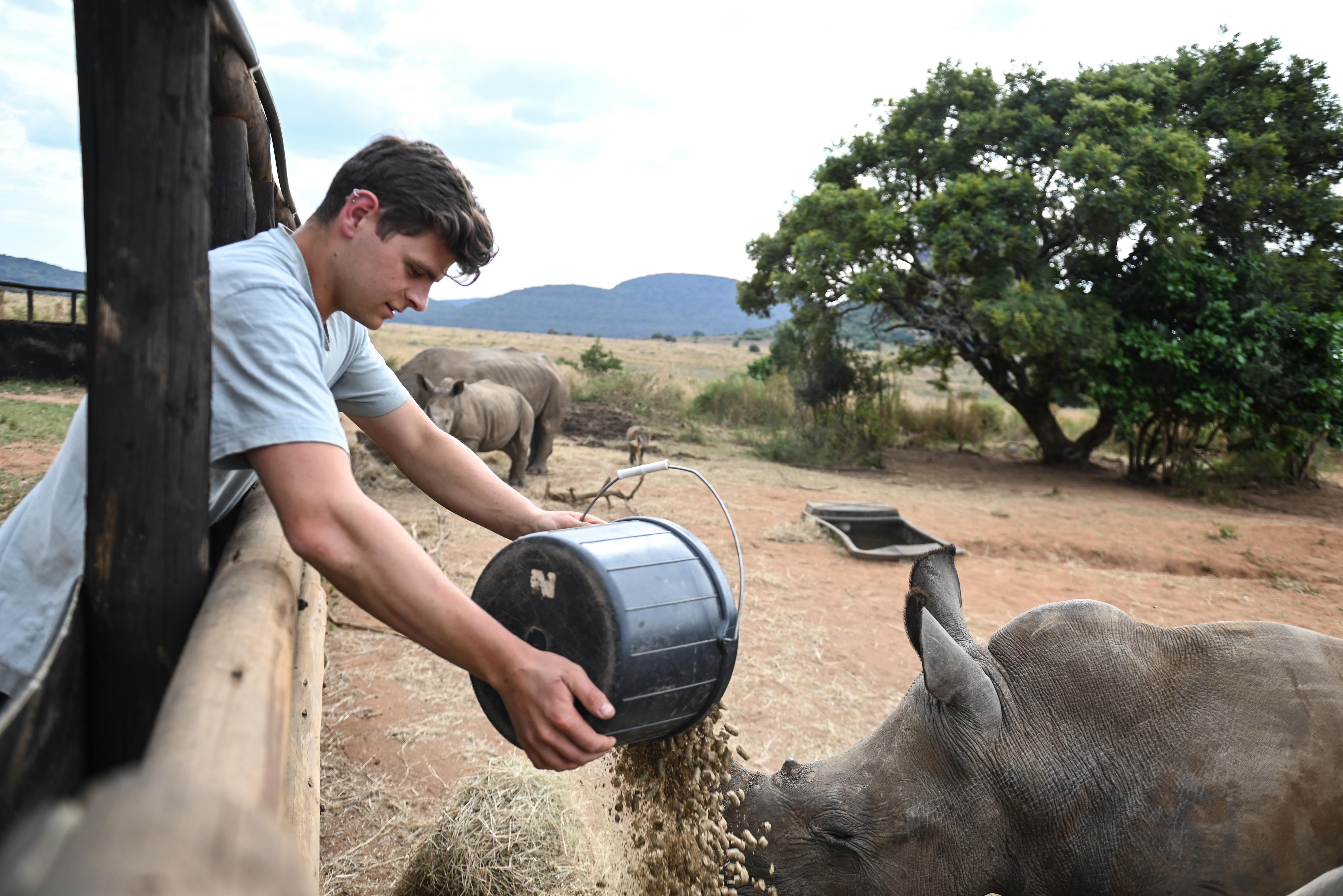 Conservation internships - Study & Career Programs - feeding the rhinos at Golola Rhino Orphanage