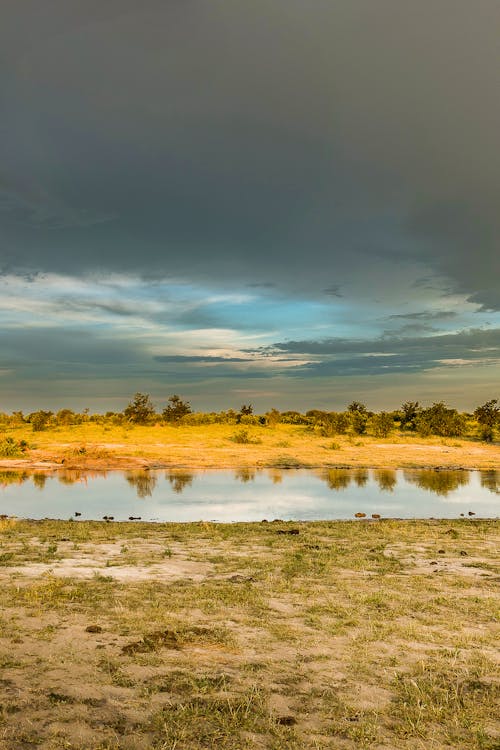 Information base camp - Okavango Project