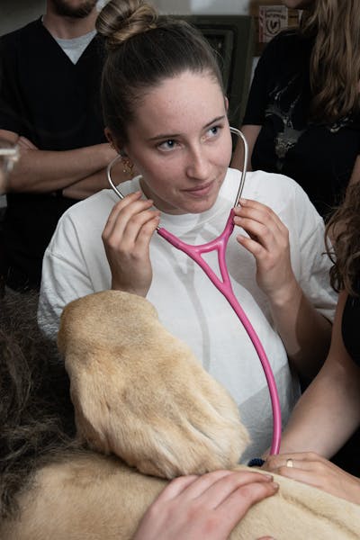 Wildlife vet volunteer - Wildlife Veterinary Experiences - Volunteer at the Expedition