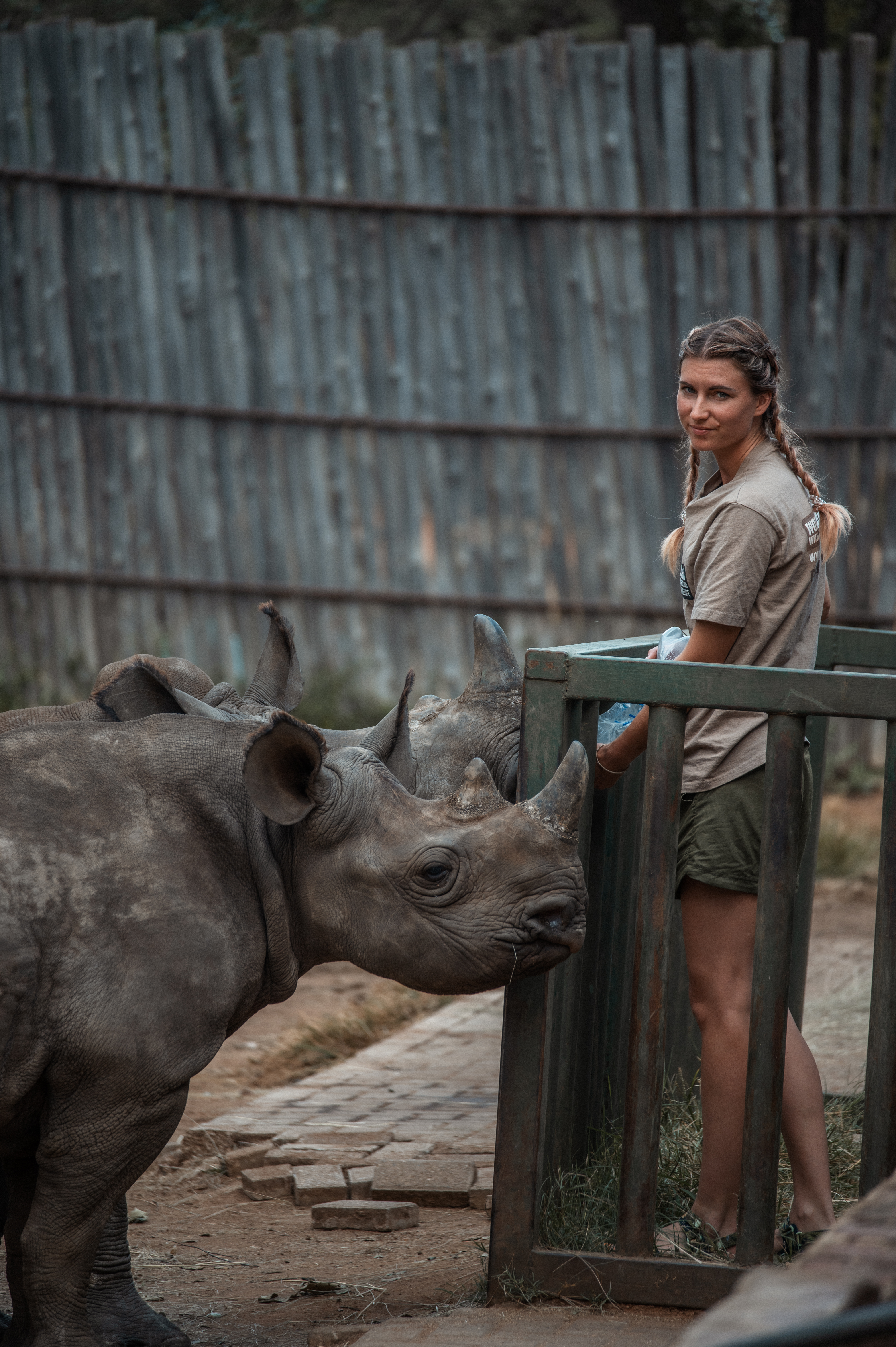 Wildlife rehabilitation volunteer opportunities - Golola Rhino Orphanage and Rehabilitation Centre - Bottle feeding rhino
