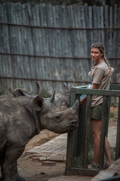 Wildlife rehabilitation volunteer opportunities - Golola Rhino Orphanage and Rehabilitation Centre - Bottle feeding rhino