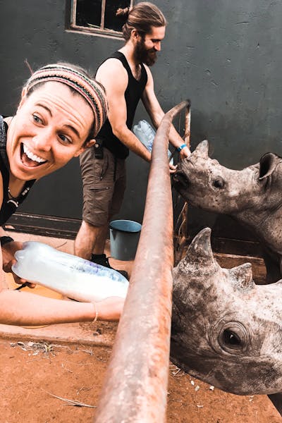 Rhino conservation volunteer - Rhino Conservation Experience - Volunteers at Golola Rhino Orphanage, bottle-feeding