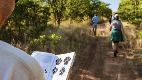 School Biology Field Trip - school group learning how to track animals