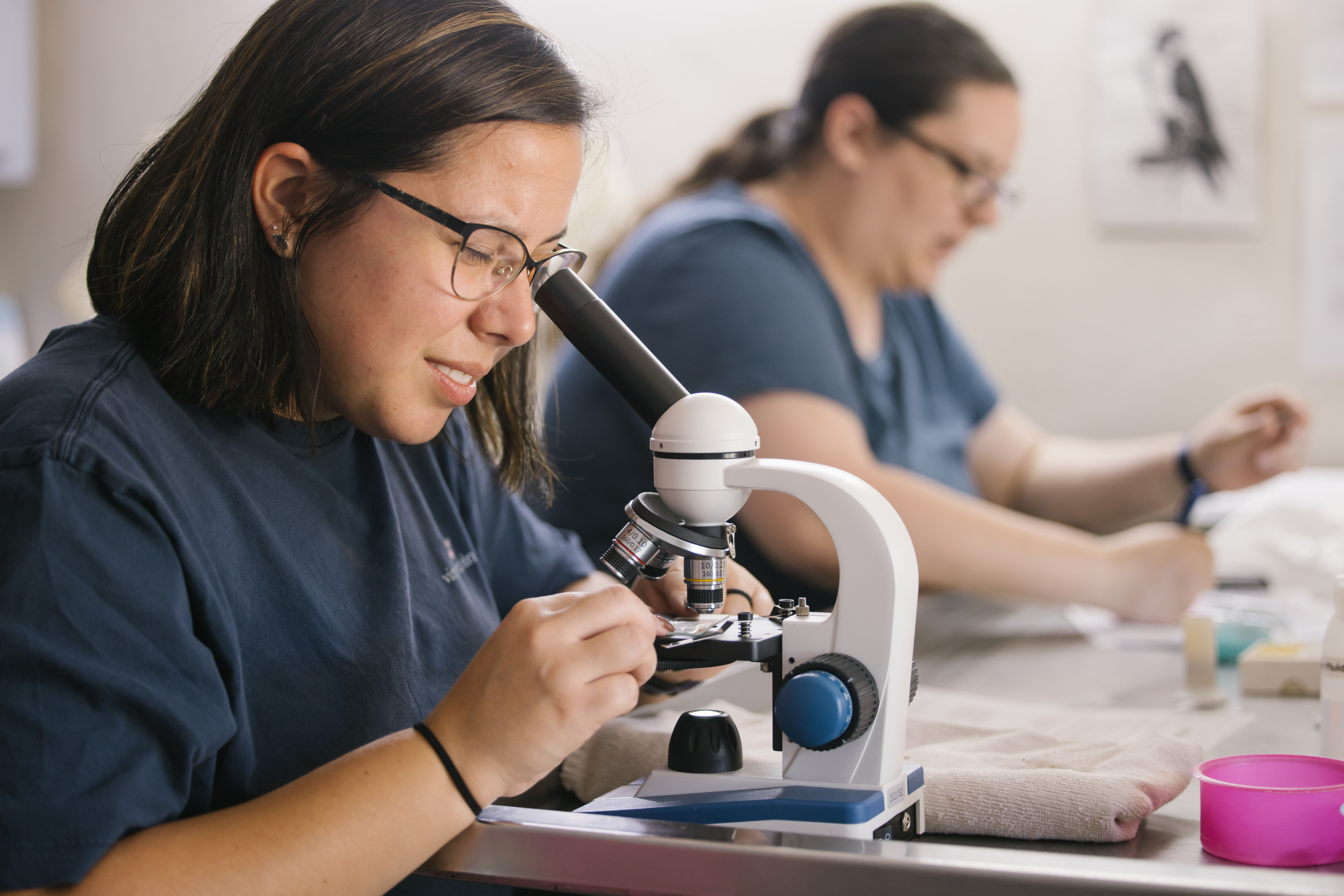 School Biology Field Trip - student looking through a microscope