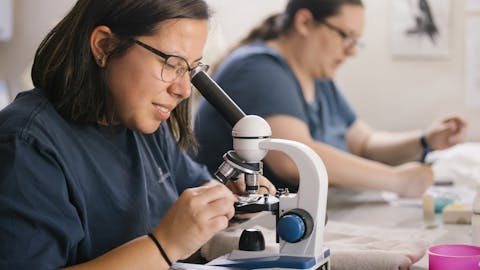 School Biology Field Trip - student looking through a microscope