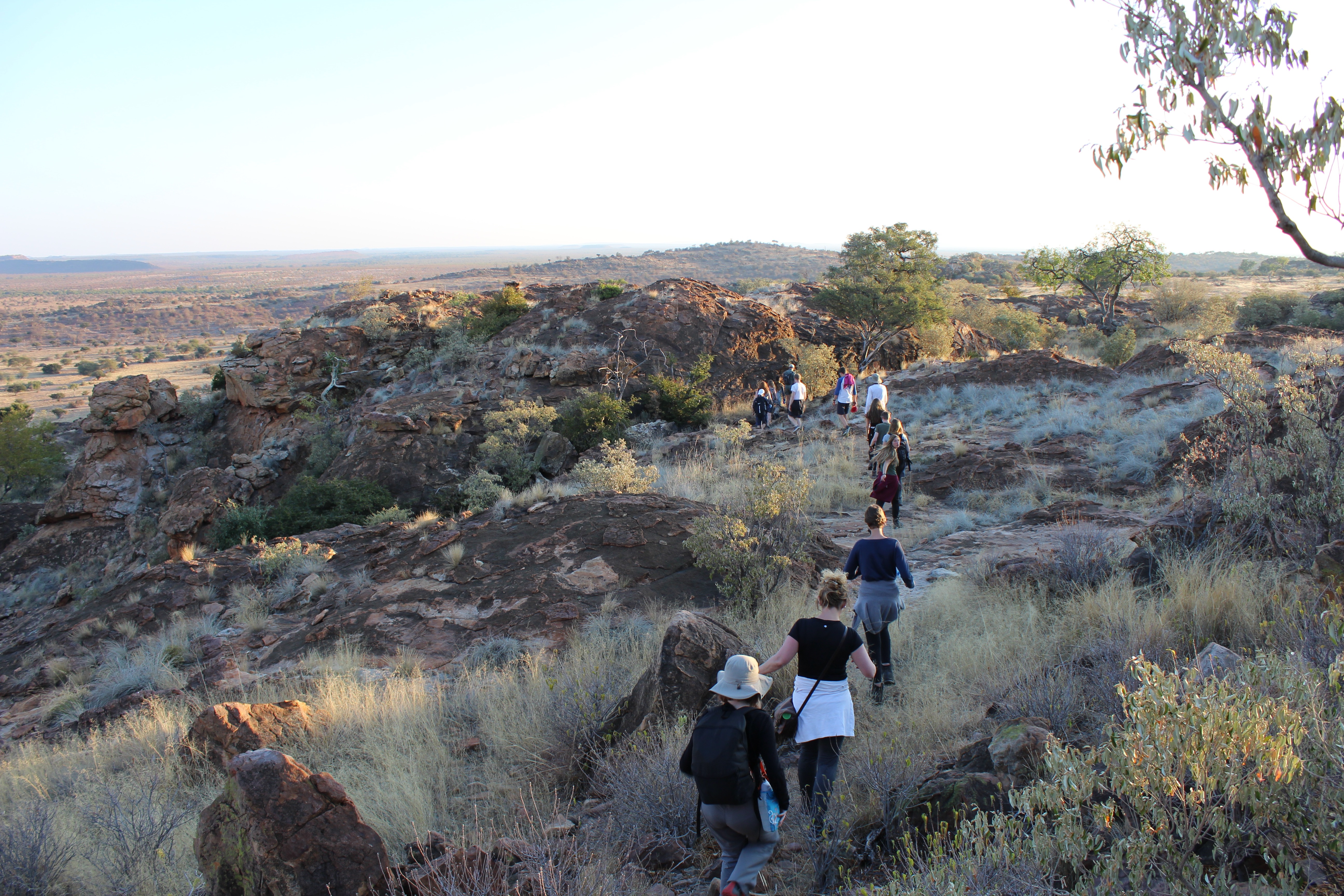 School Biology Field Trip - school group hiking in the bush