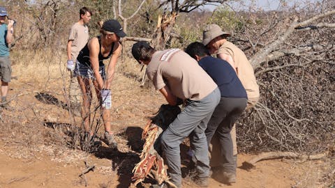 Service Learning Field Trip - school students helping with bush clearing