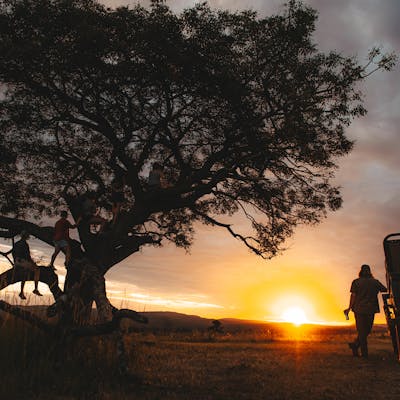 Gap year wildlife conservation - Gap year experiences - Volunteers watching a sunset