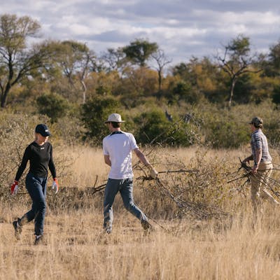 Short term volunteer work abroad - Short term volunteer work - Volunteers bush clearing at Vikela Conservation Experience