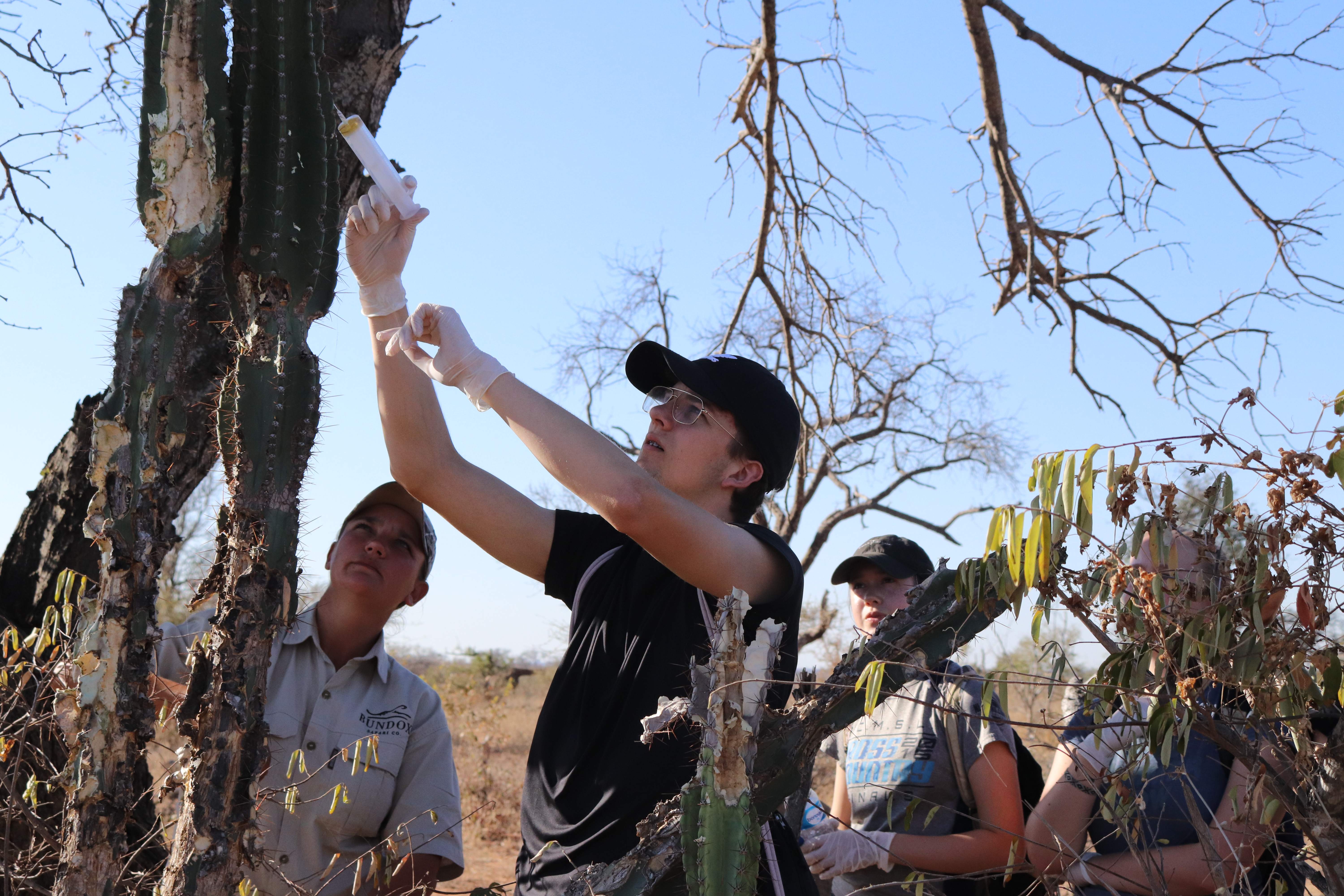 Service Learning Field Trip - student treating a cactus 