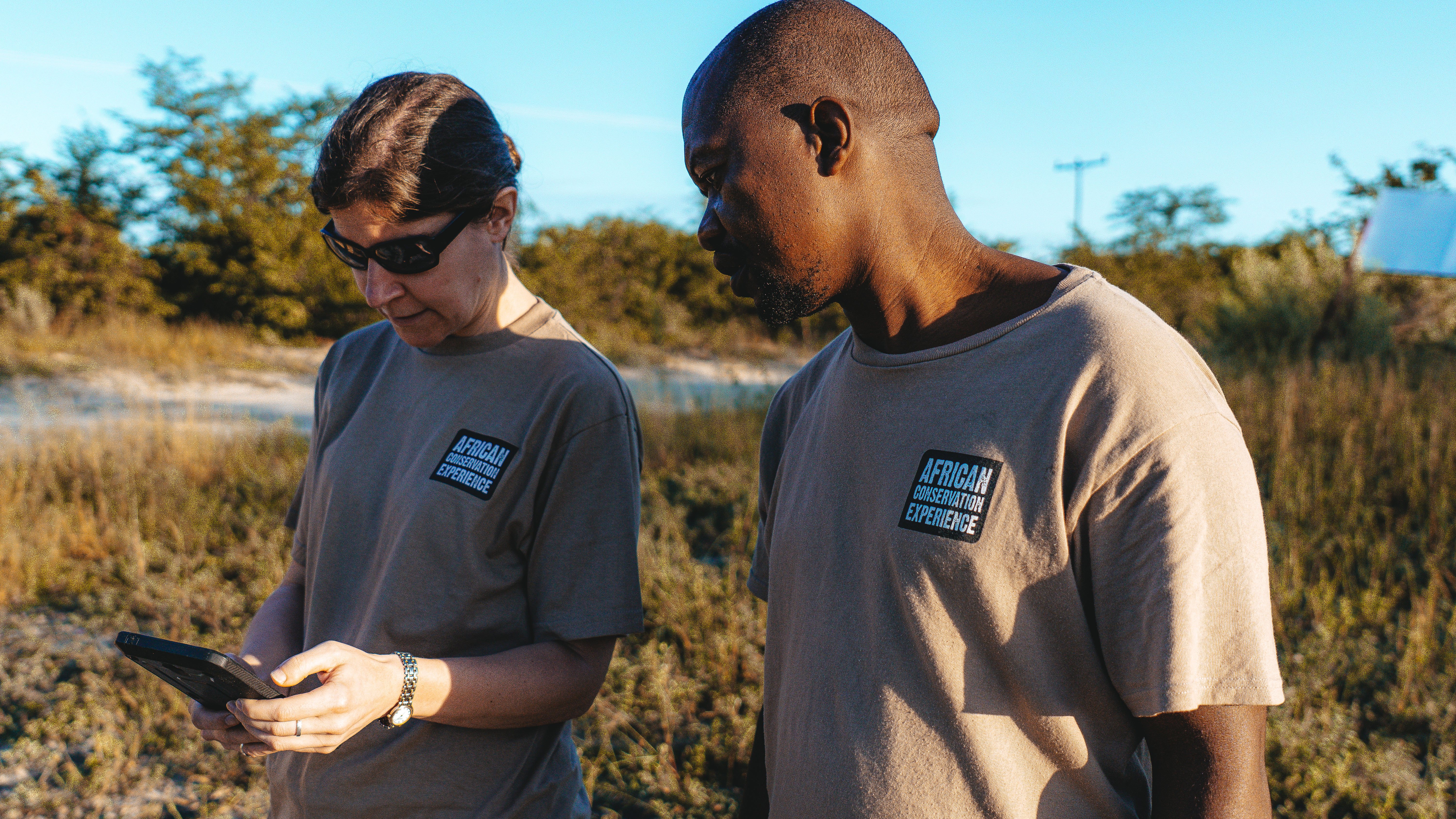 New Horizons Sabbatical - volunteer inputting data 