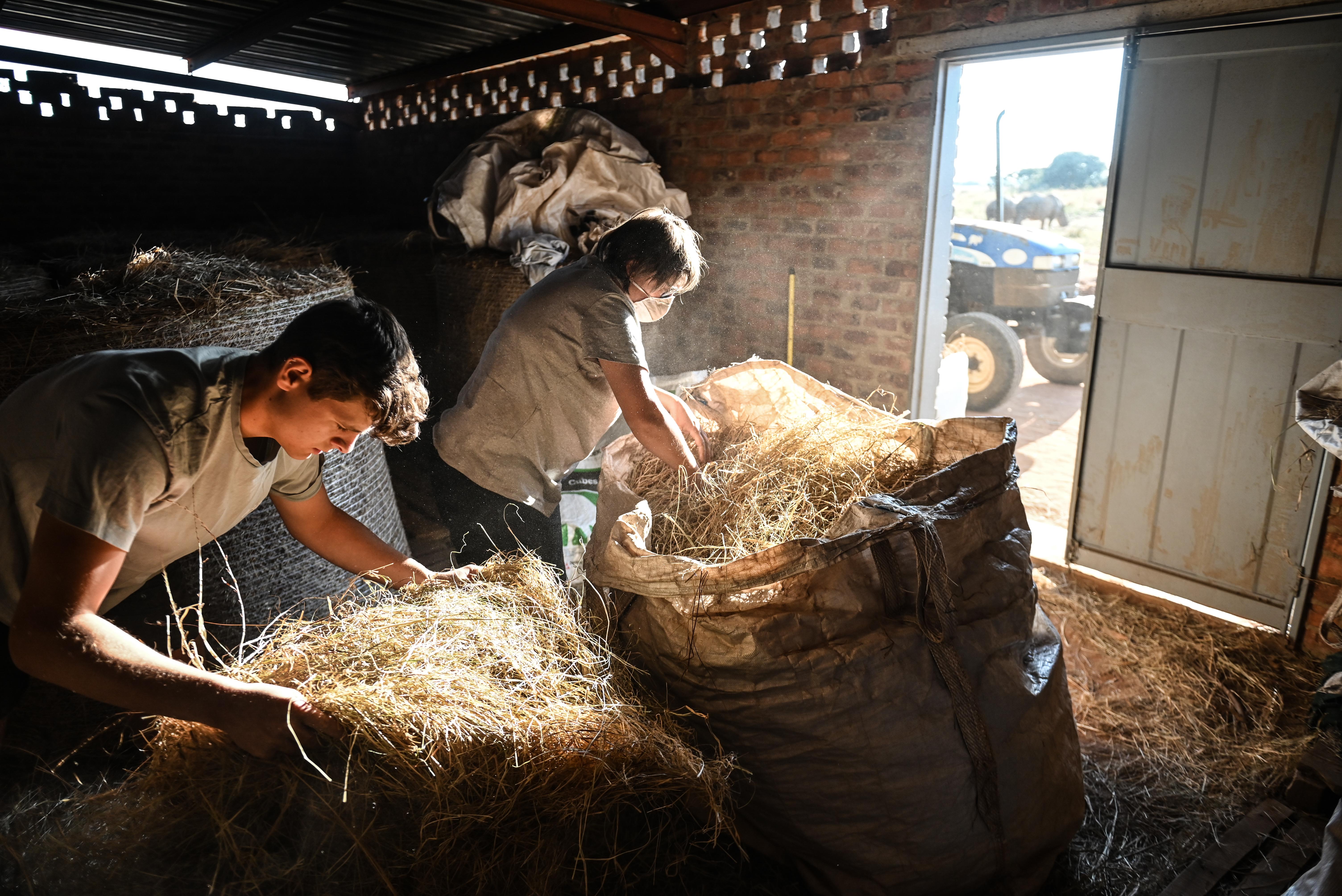 Best volunteer abroad programs - Recommended volunteer experiences - Volunteer working at The Rhino Orphanage