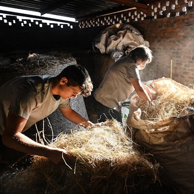 Best volunteer abroad programs - Recommended volunteer experiences - Volunteer working at The Rhino Orphanage