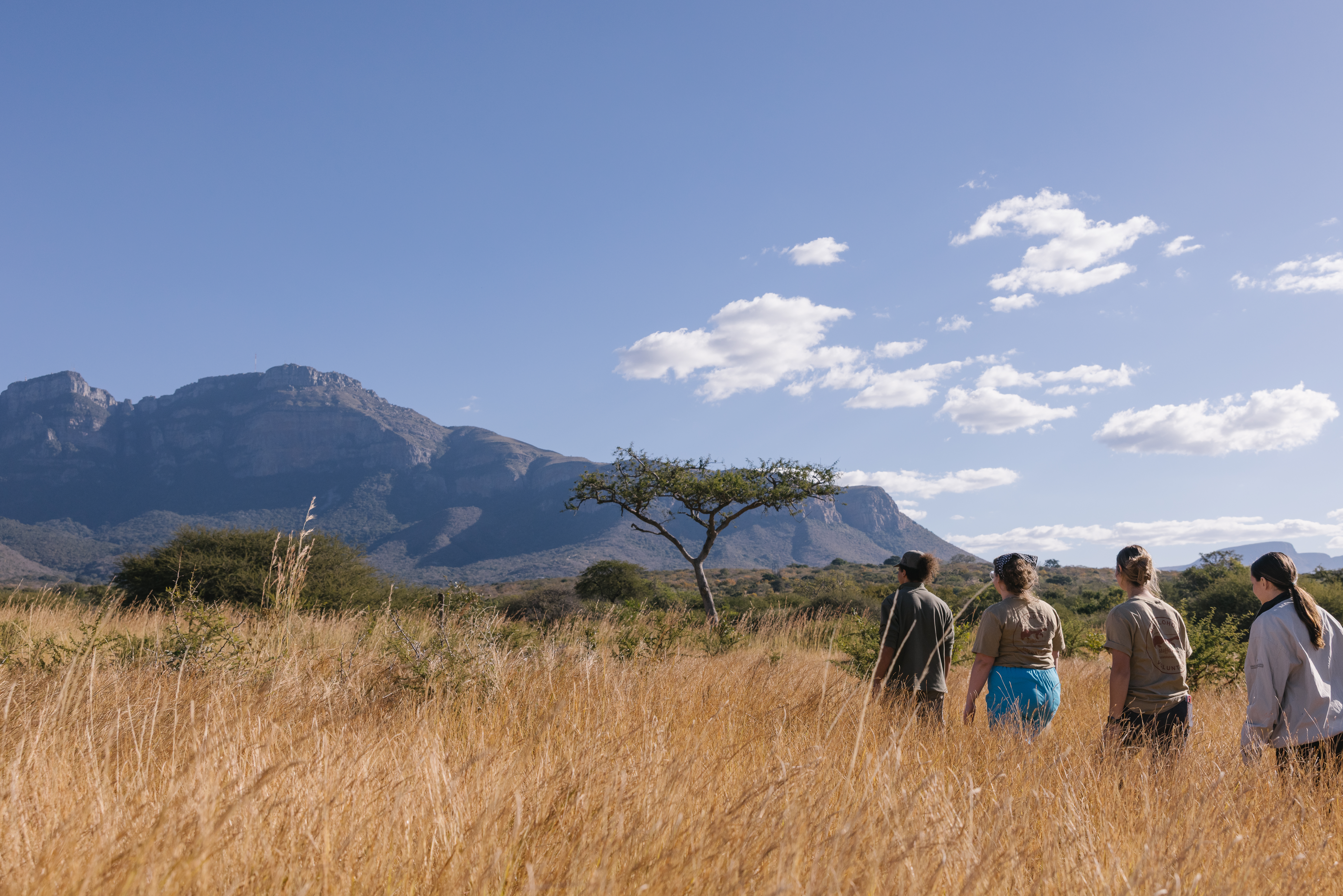 Best volunteer abroad programs - Recommended volunteer experiences - Volunteers walking through the bush