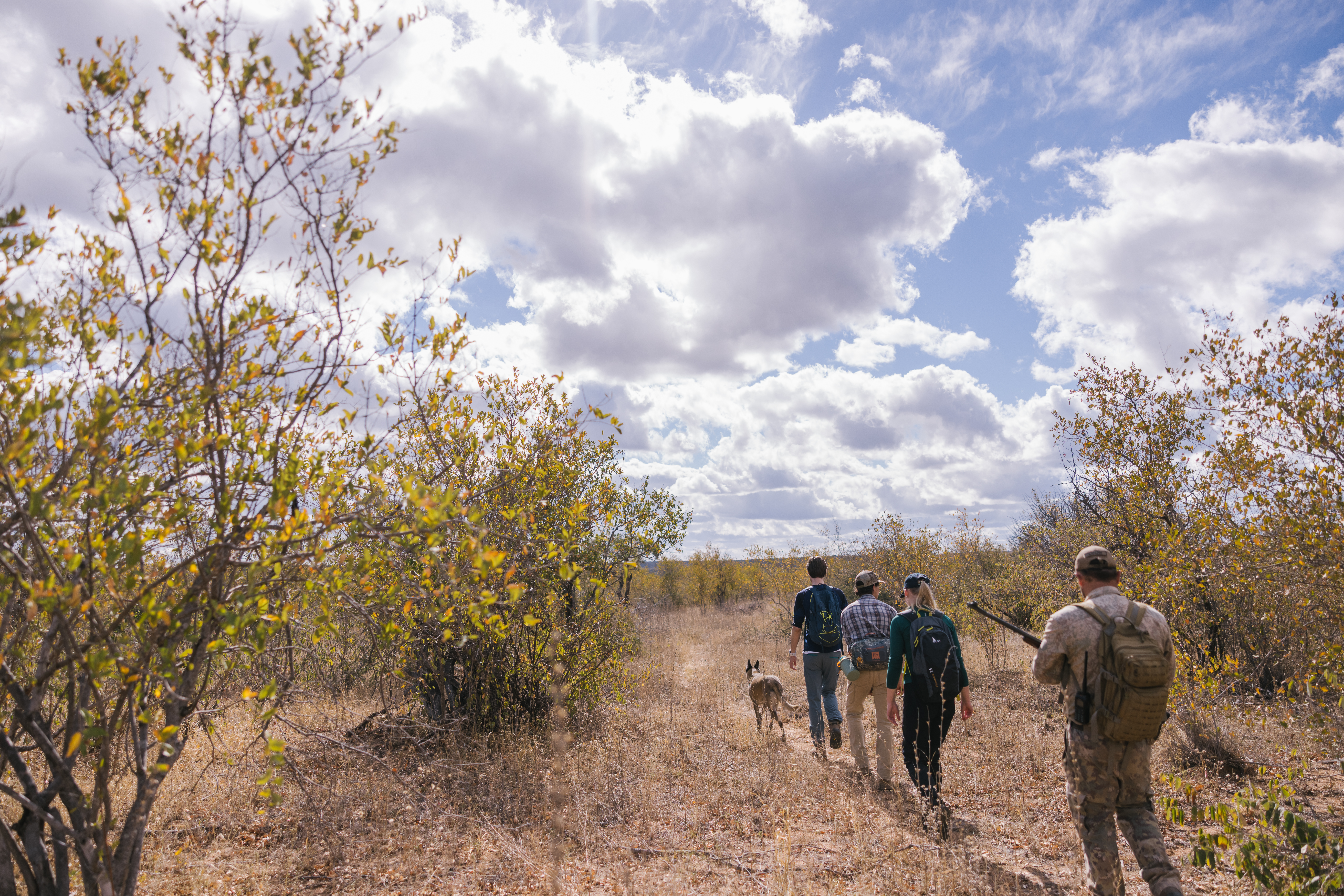 Rhino Conservation Adventure - group out tracking in the bush
