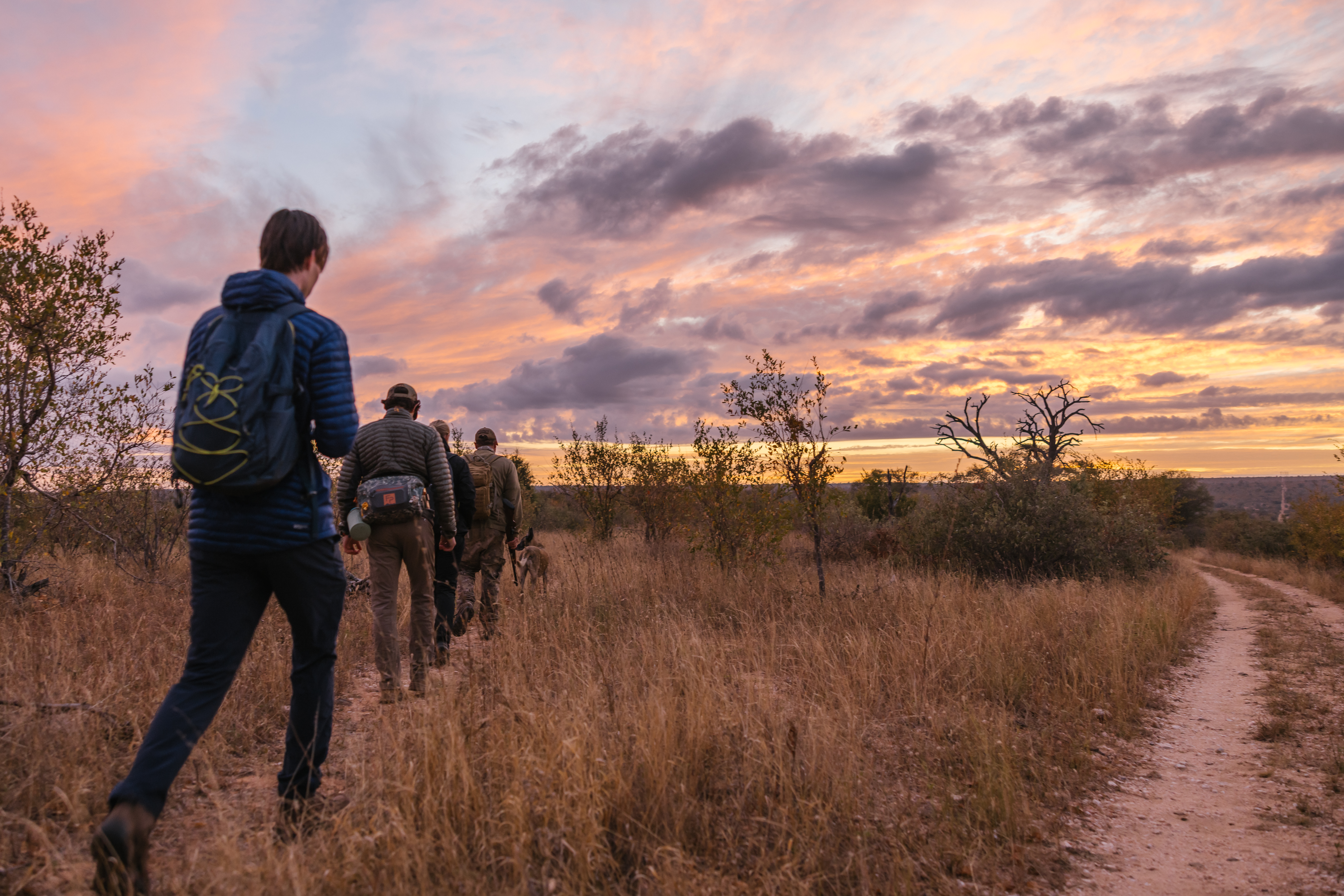 The Three Frontiers Wildlife Experience - volunteers walking in the bush at sunset 