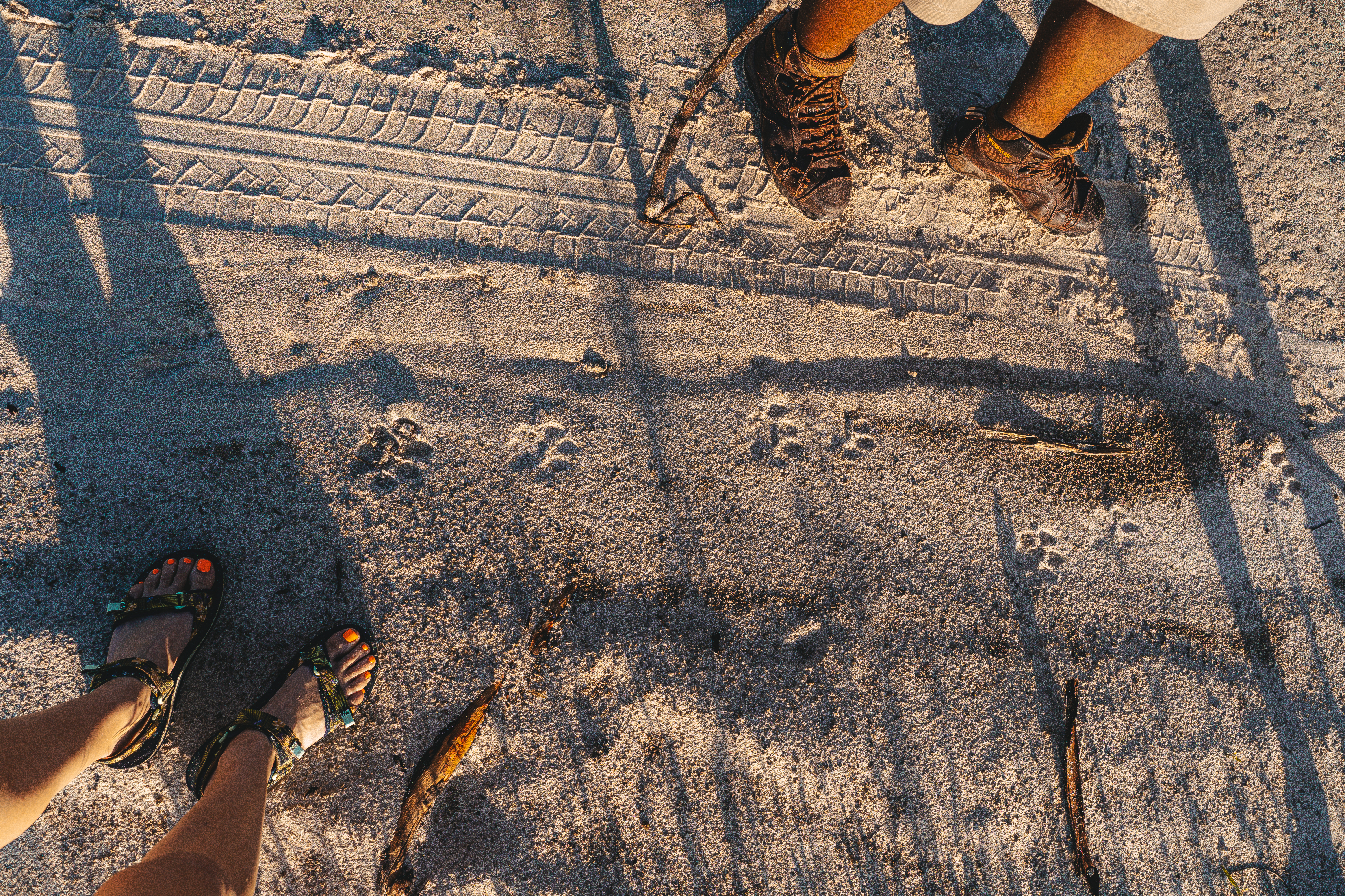 Conservation research internships - Research & Management Internships - Tracks on the Okavango Wilderness Project