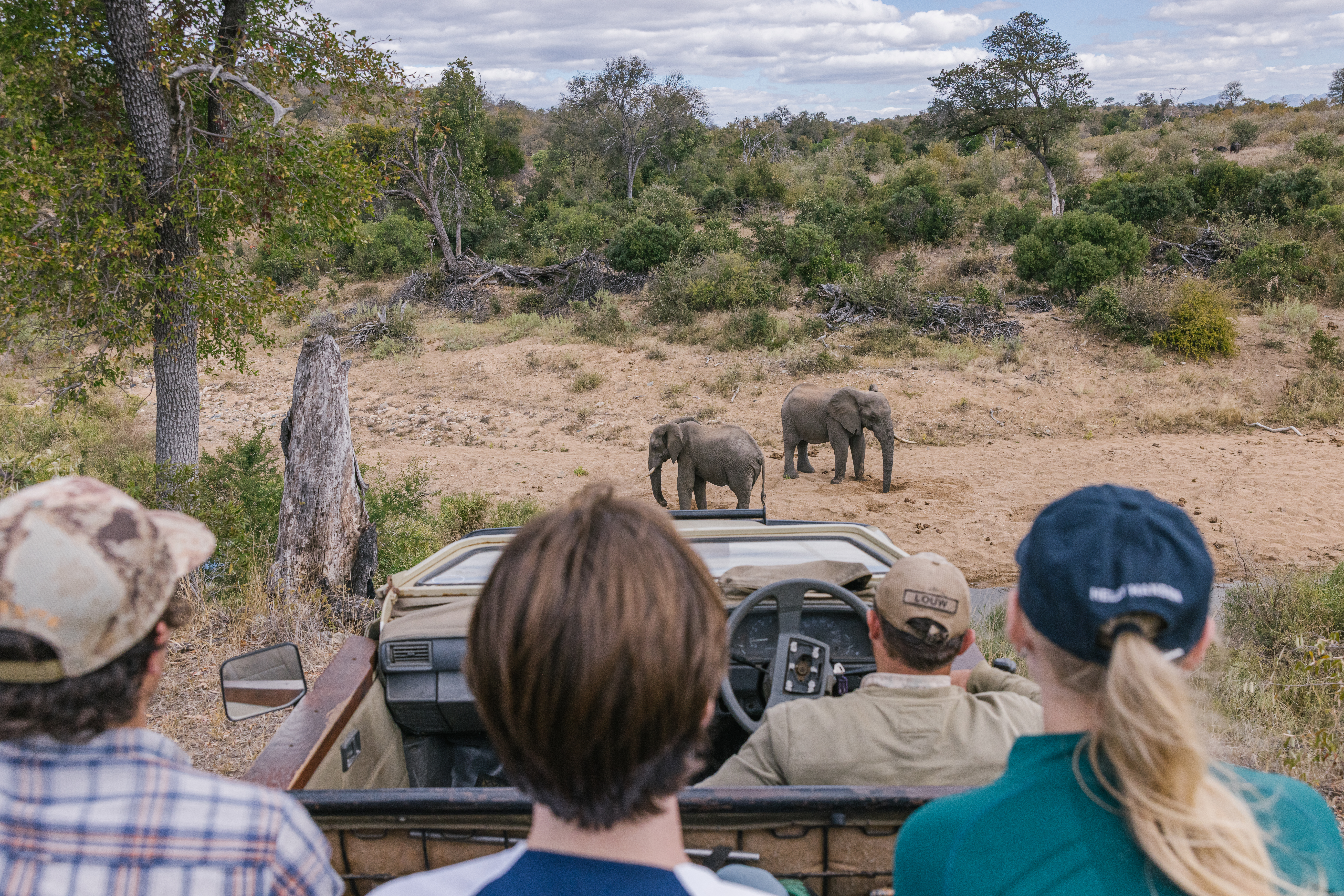 African wildlife adventures - Longer African wildlife adventures - Game Drive on Vikela Kruger Conservation Experience