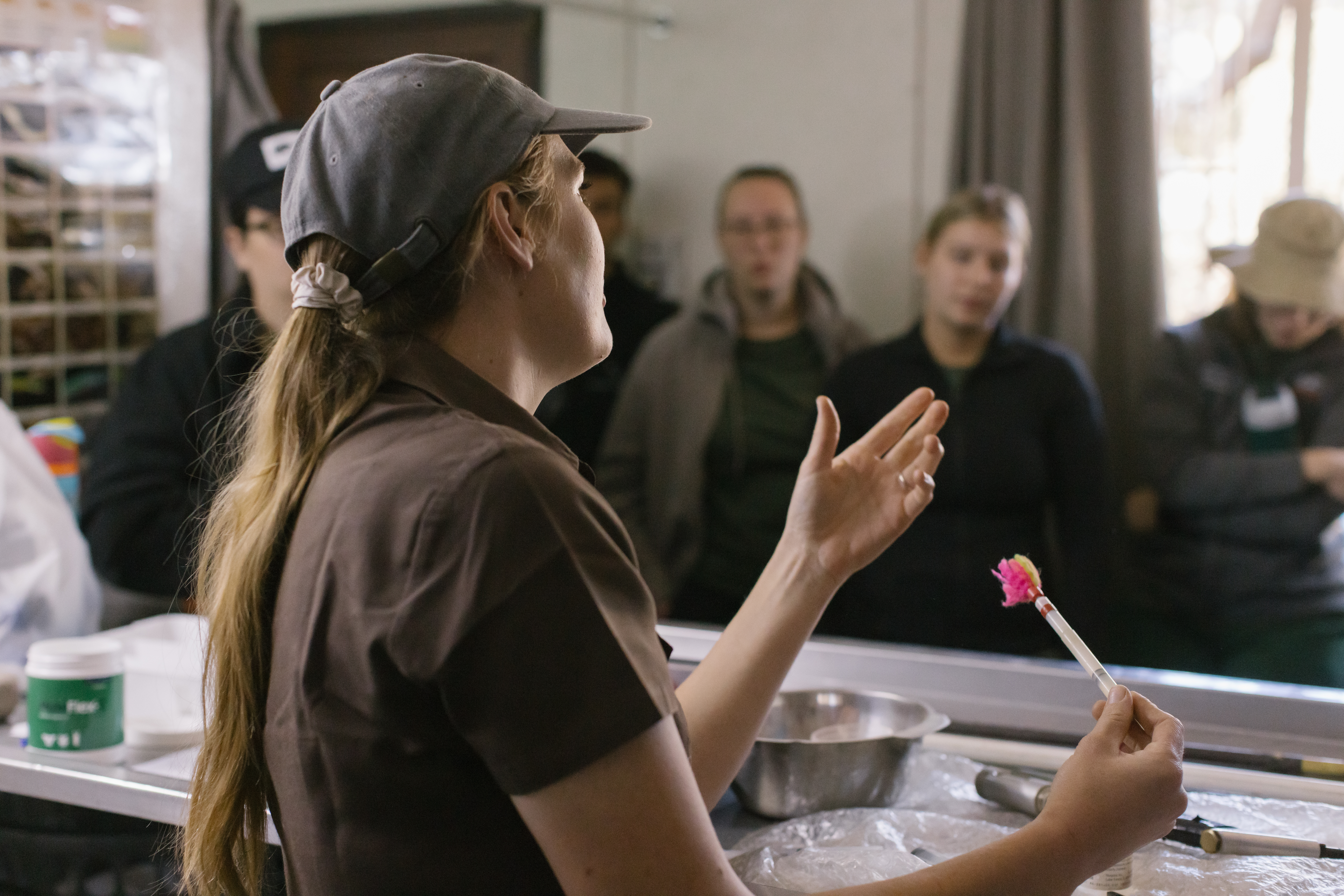 EMS Abroad - EMS Vet Placement - Students being taught at the clinic at Moholoholo Wildlife Rehabilitation Centre