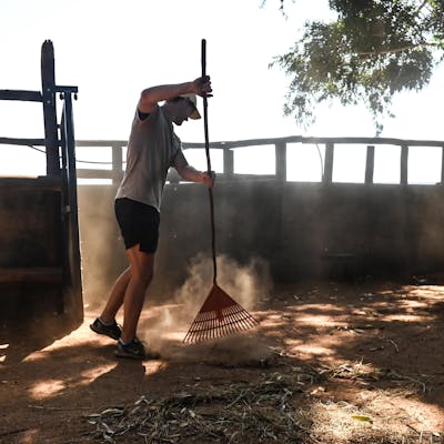 Animal care placements - Animal care placements - Sweeping and raking at Golola Rhino Orphanage