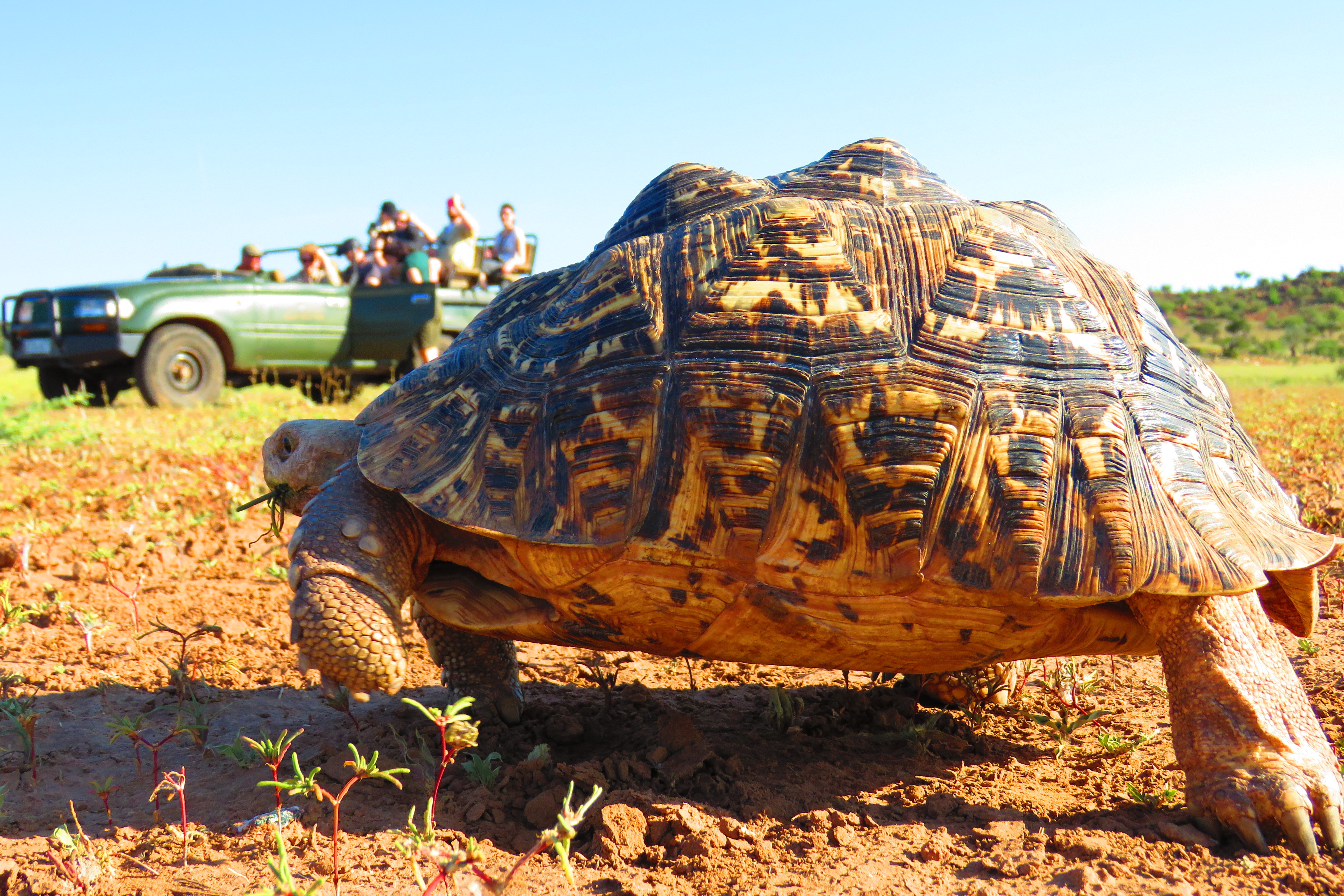 Conservation courses - Conservation courses - Game Ranger Course