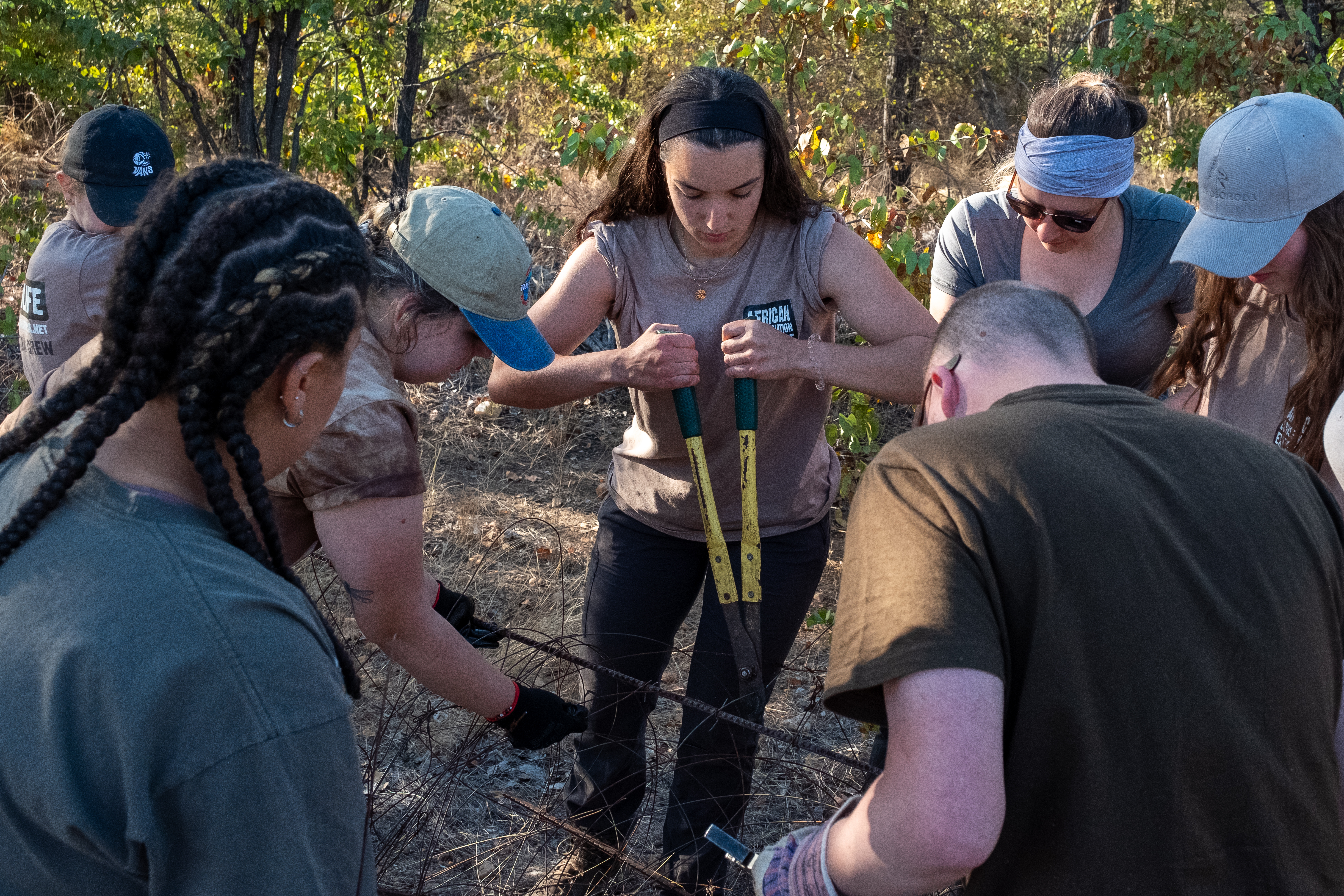 Biology school trips abroad - School Biology Field Trip - Student cutting wire