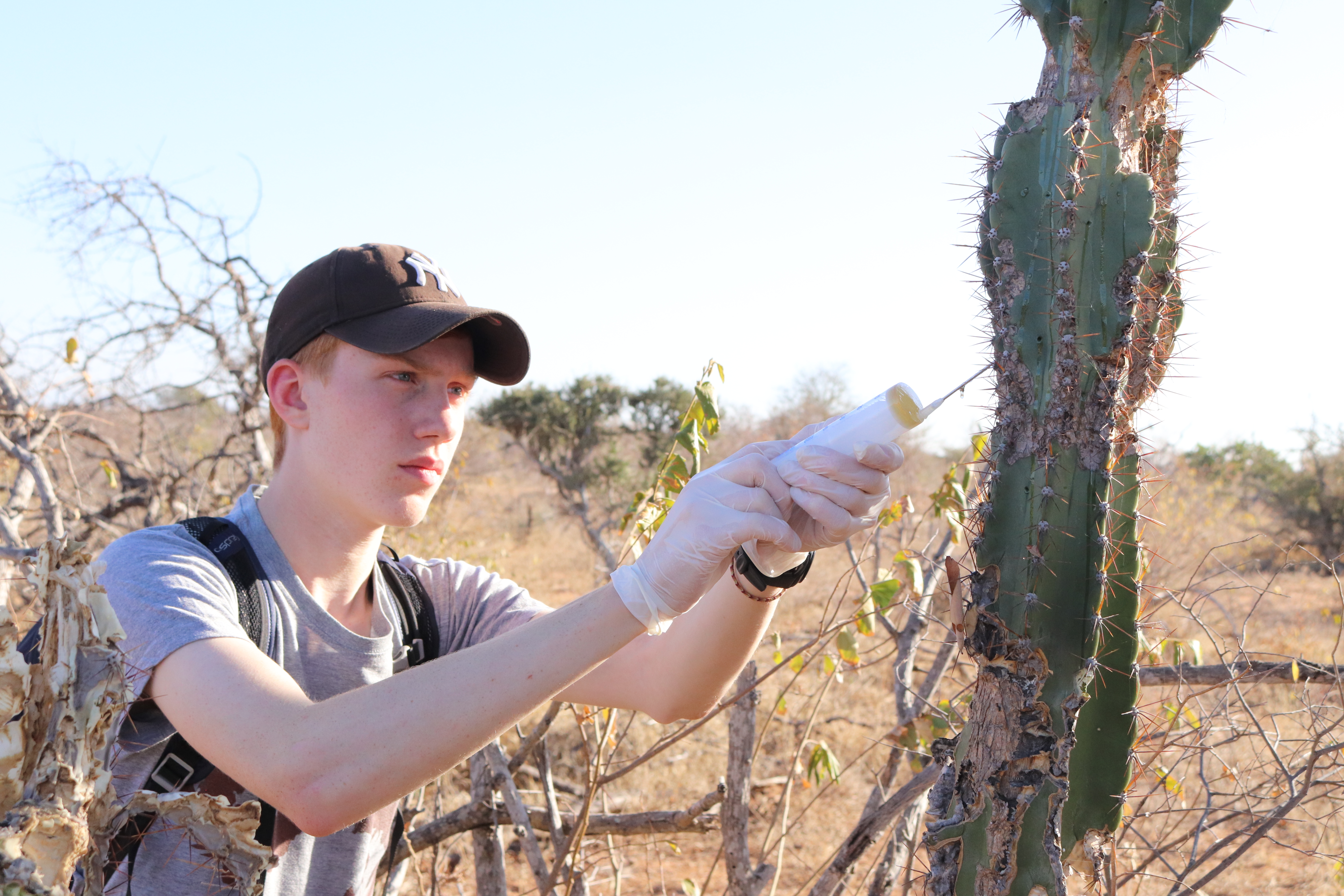Biology school trips abroad - School Biology Field Trip - Invasive plant removal