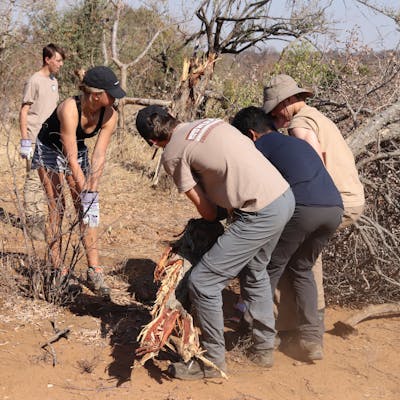 Service learning trips - Service Learning Field Trip - School students helping to remove invasive species