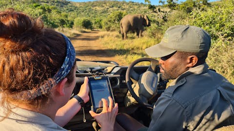 The ‘All In’ Gap Year Experience - tracking elephants at Phinda