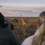 New Horizons Sabbatical - volunteers monitoring a giraffe