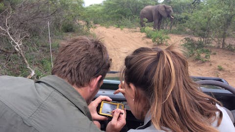 New Horizons Sabbatical - volunteer monitoring elephants at Phinda