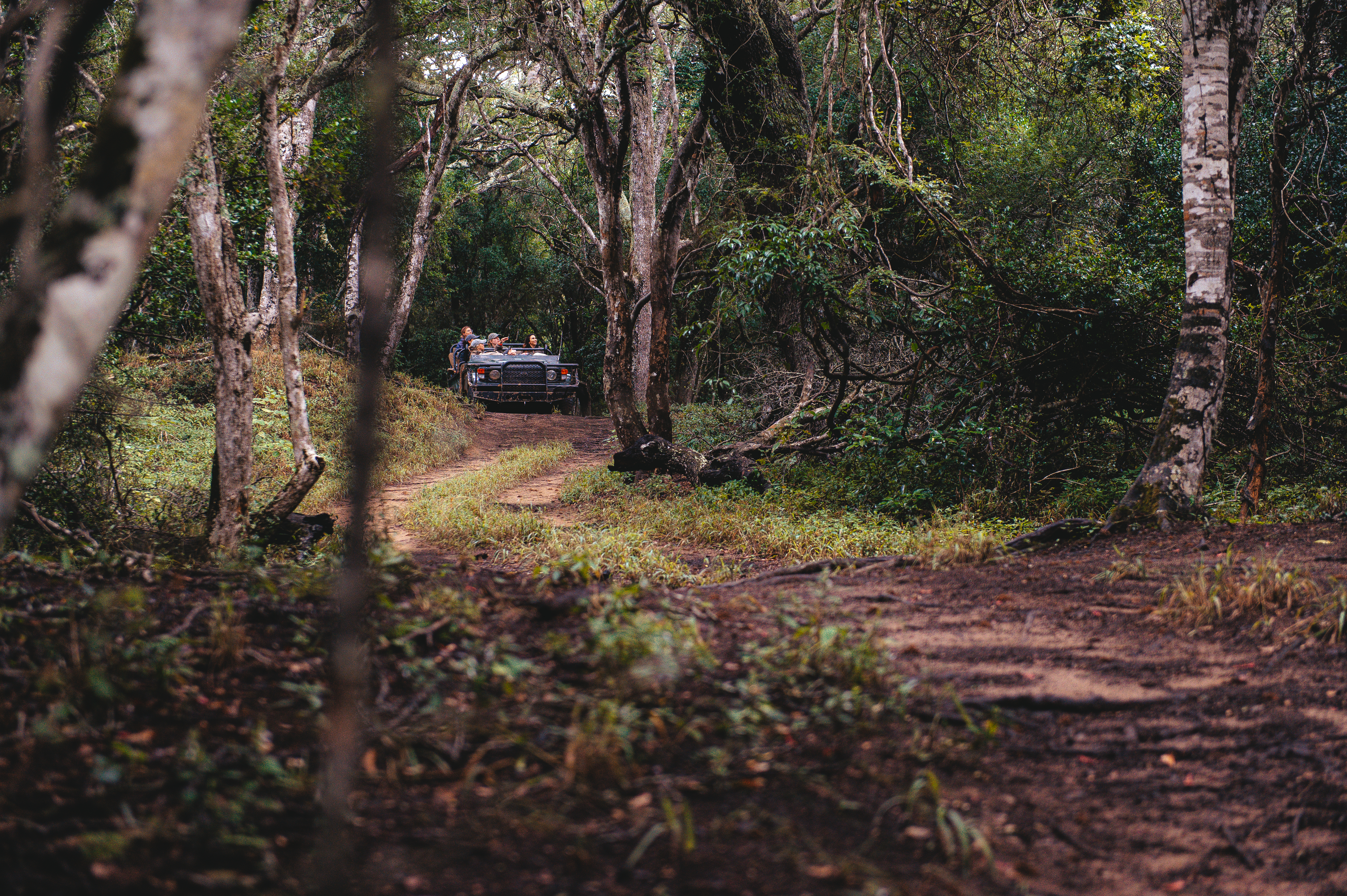 New Horizons Sabbatical - game drive at Phinda