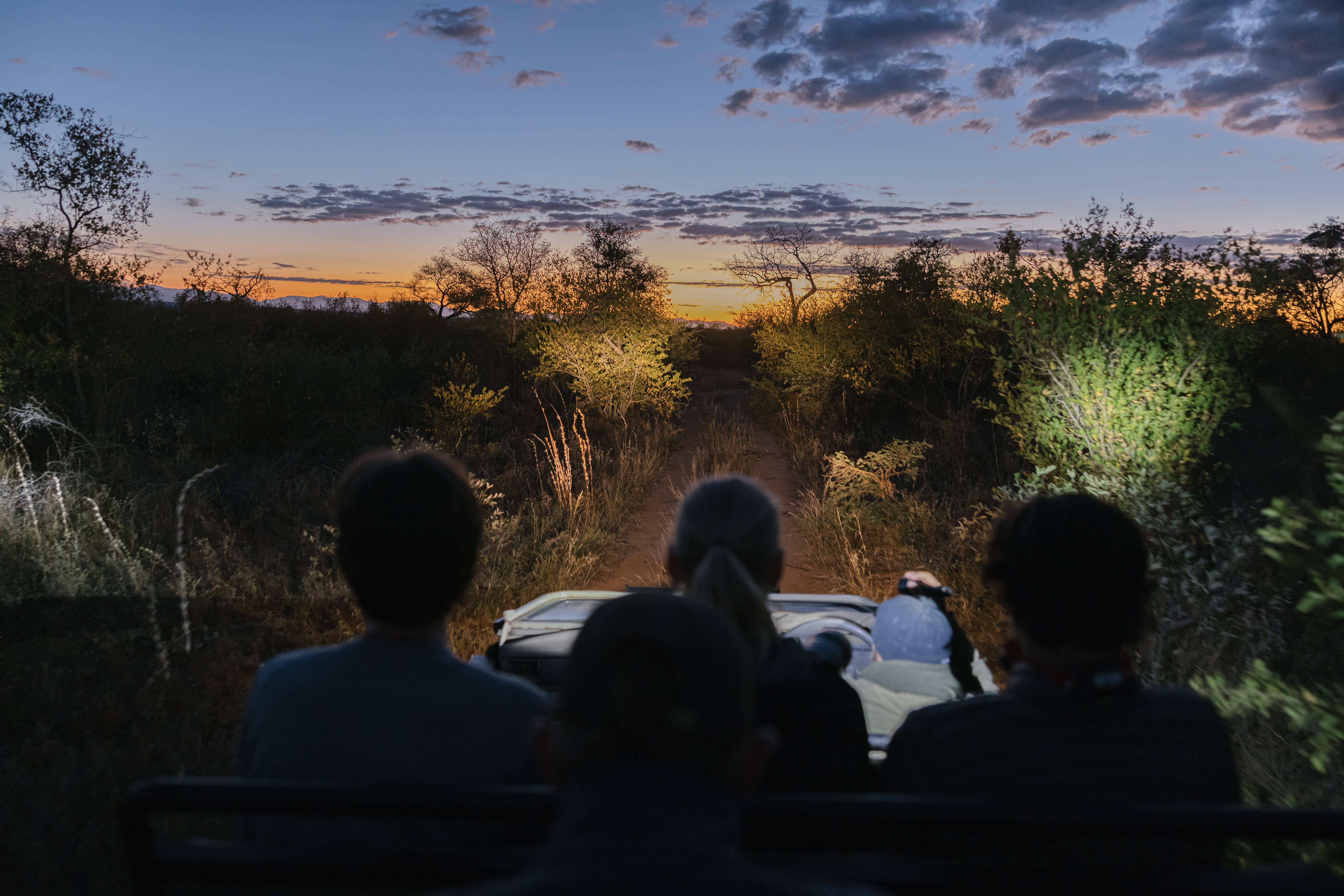 The Three Frontiers Wildlife Experience - nocturnal game drive