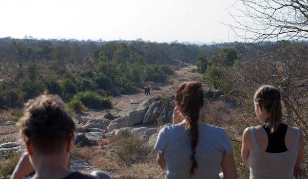 Students noticing an elephant