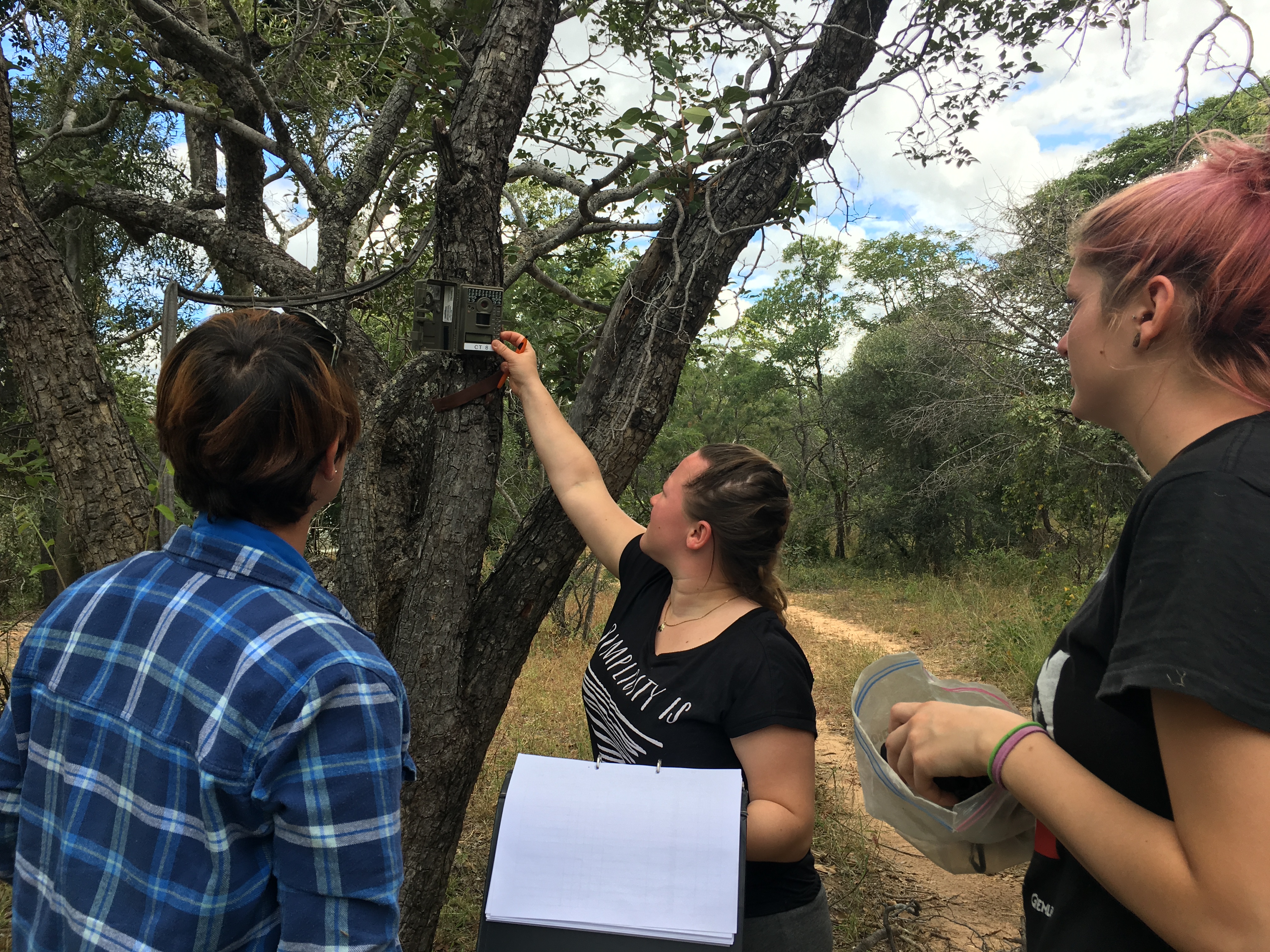 Students setting up a camera trap