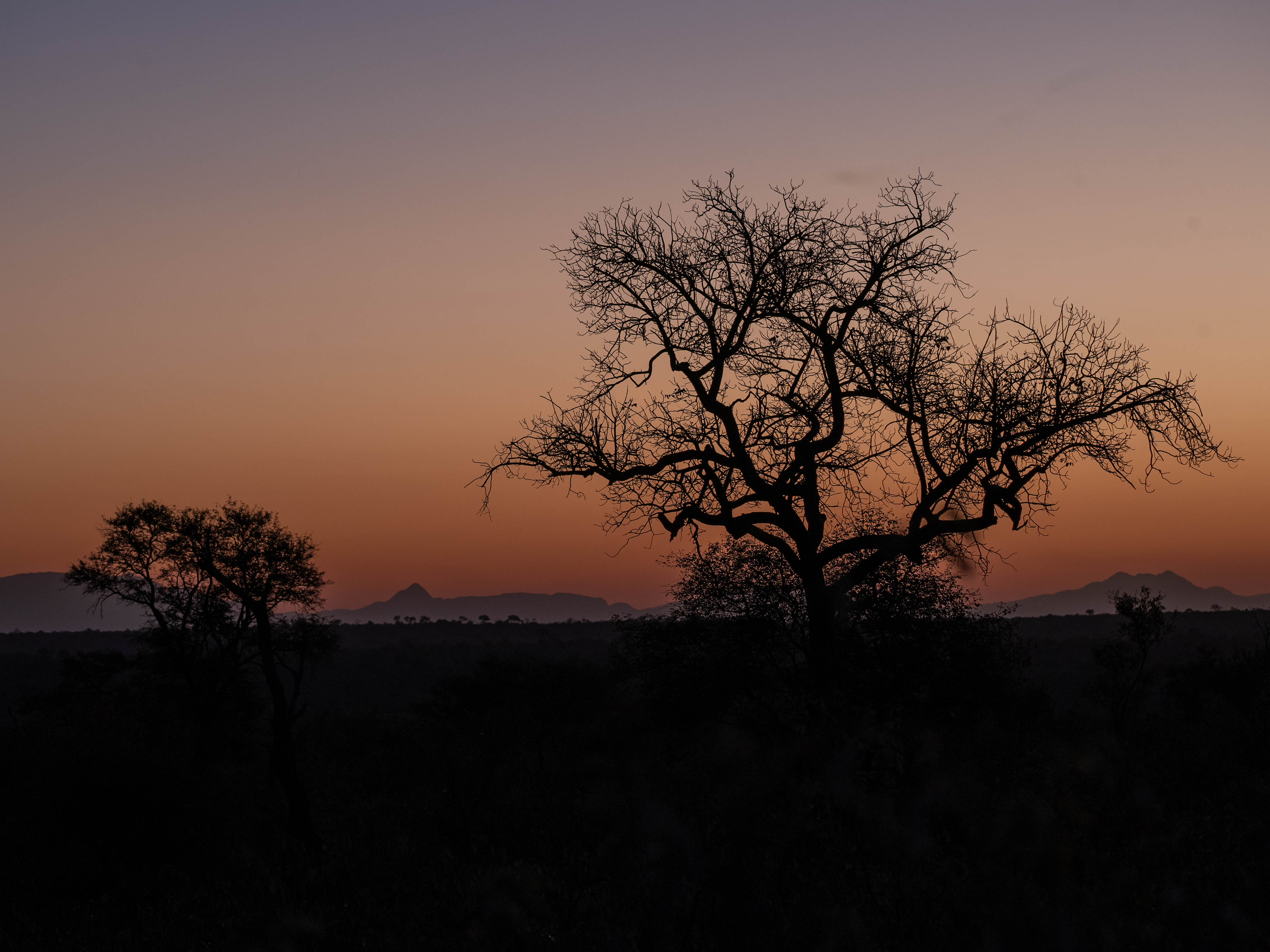 JB Alfaro - sunset landscape