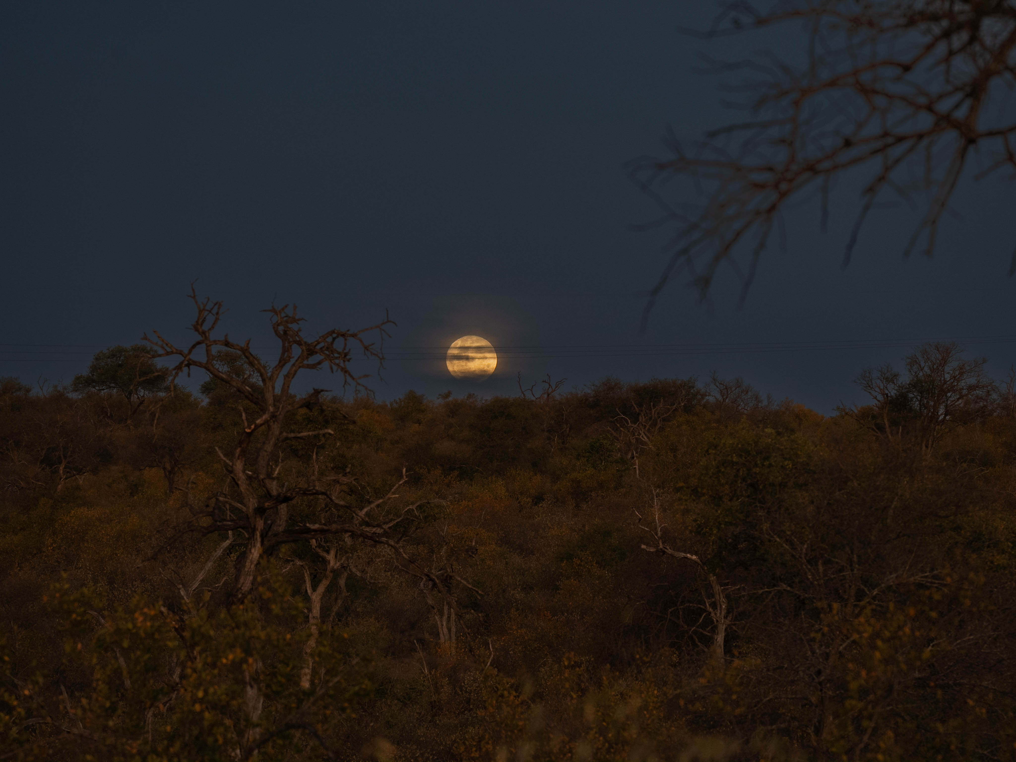 JB Alfaro - moon rising