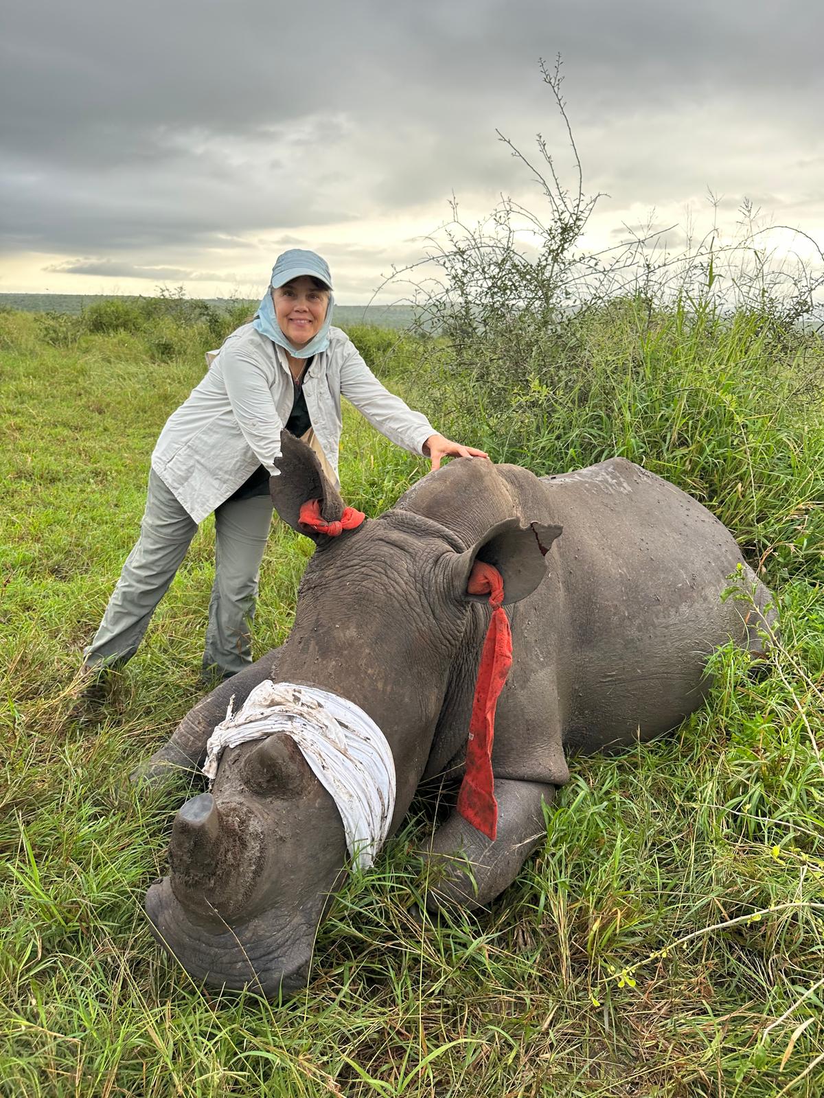 Kristine Hoyt - female volunteer posing with a sedated rhino 