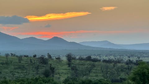 Kristine Hoyt - sunset over the bush