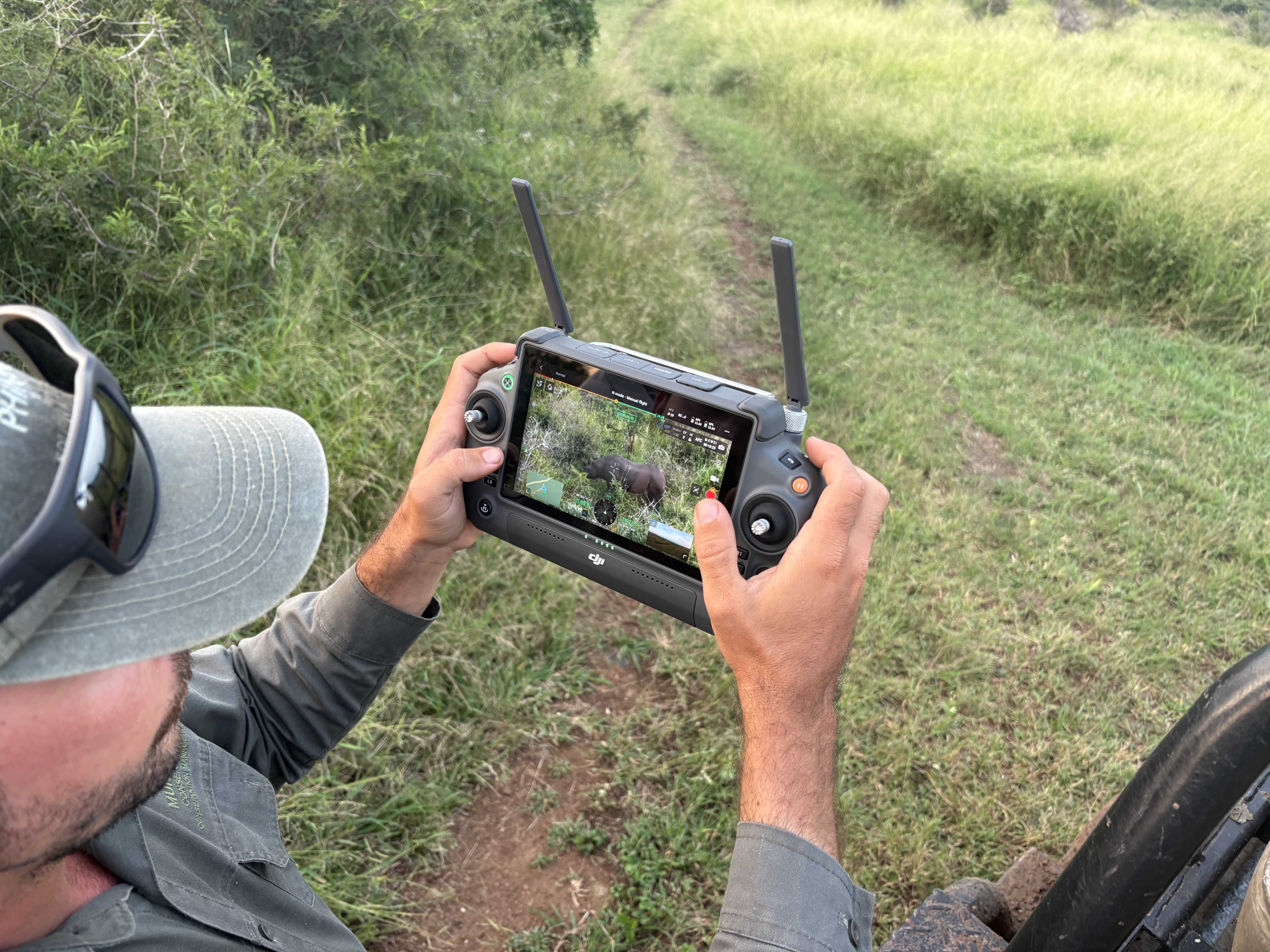 Michelle Jacobs - viewing a rhino from a drone camera 