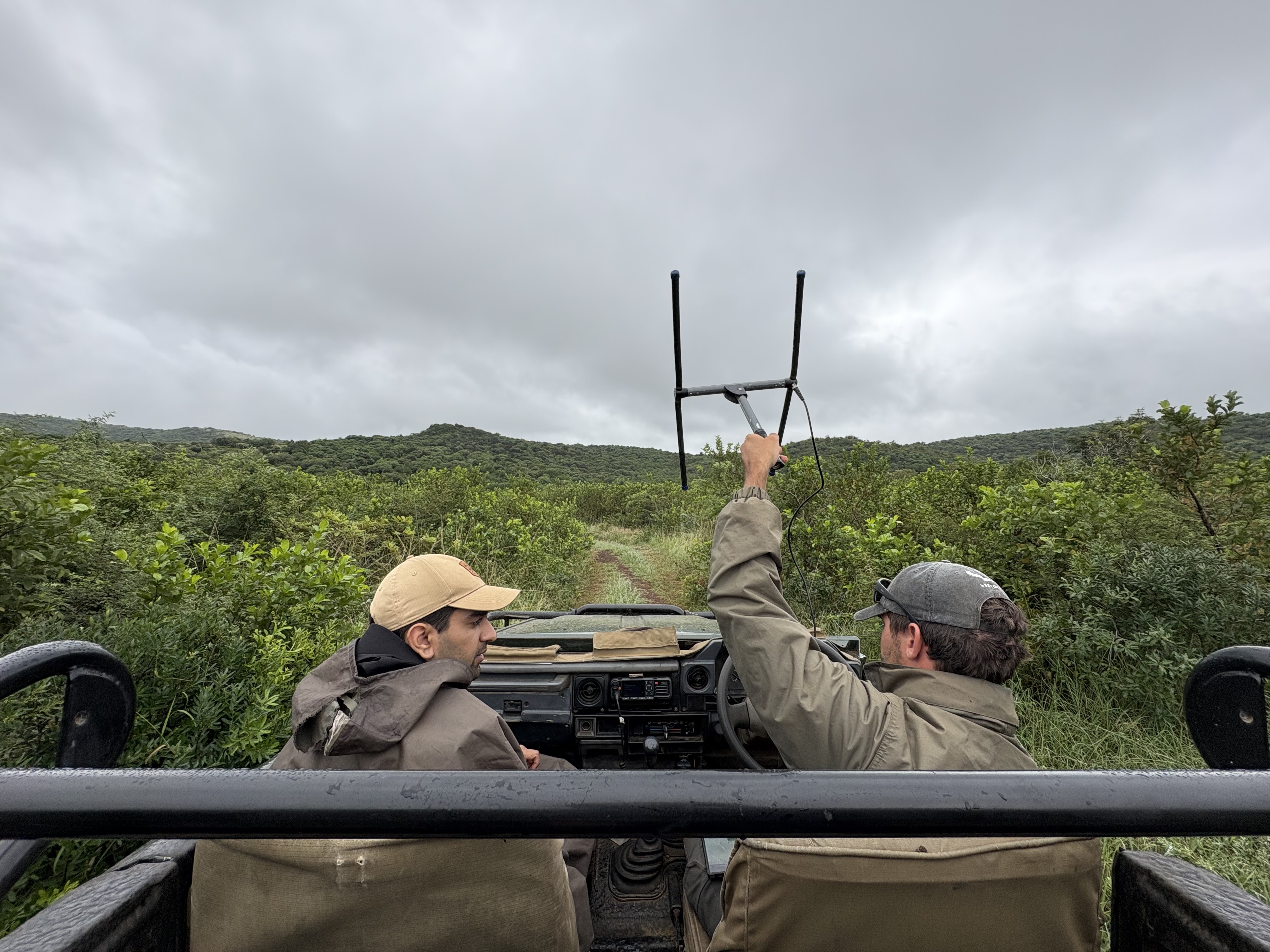 Michelle Jacobs - volunteers using telemetry to track 