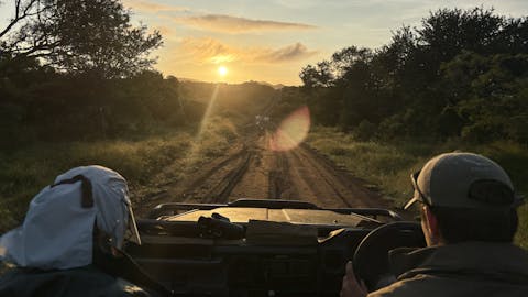 Michelle Jacobs - driving into the sunset