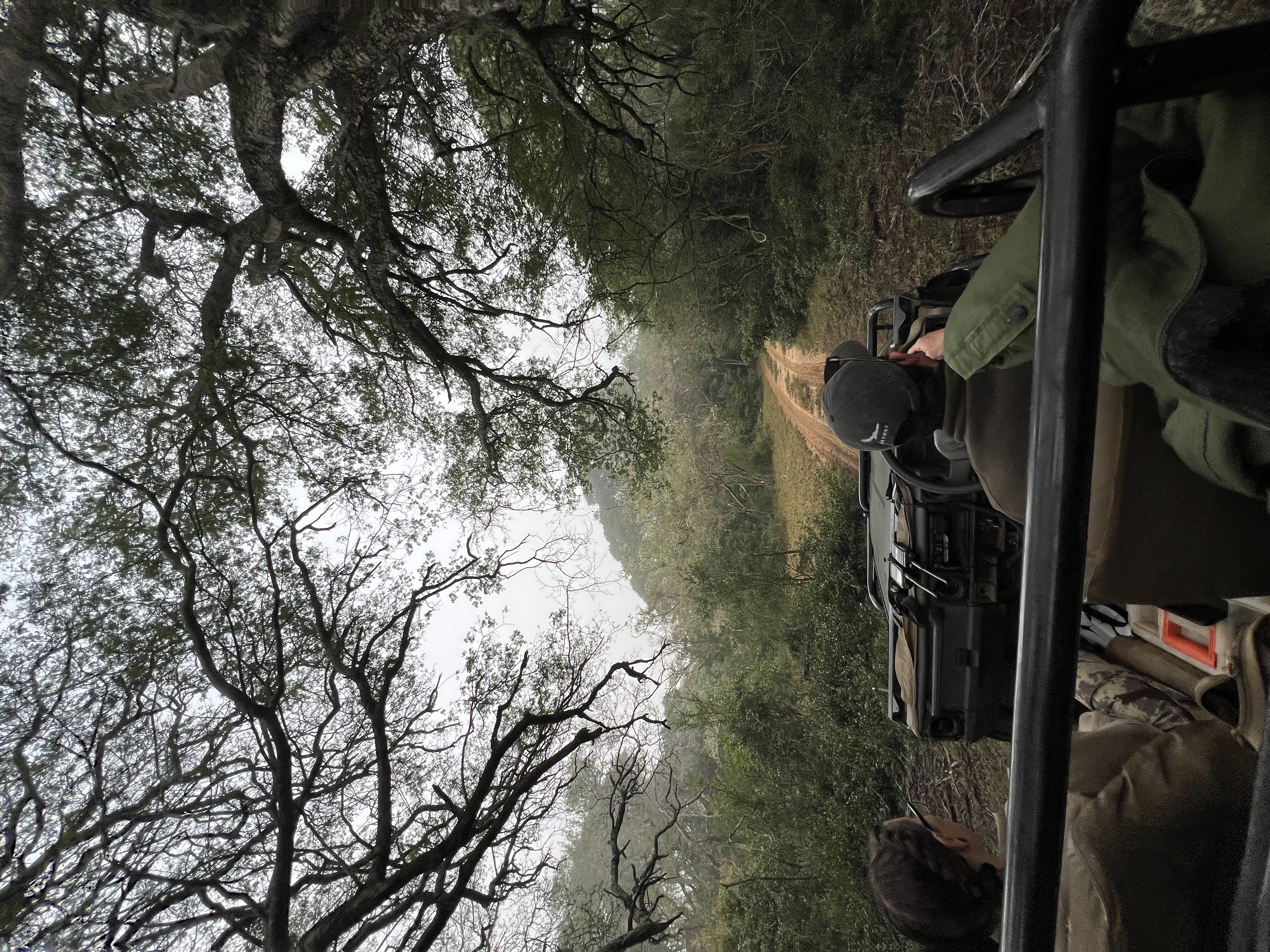 Isabella Drenthen - driving through the bush with project staff