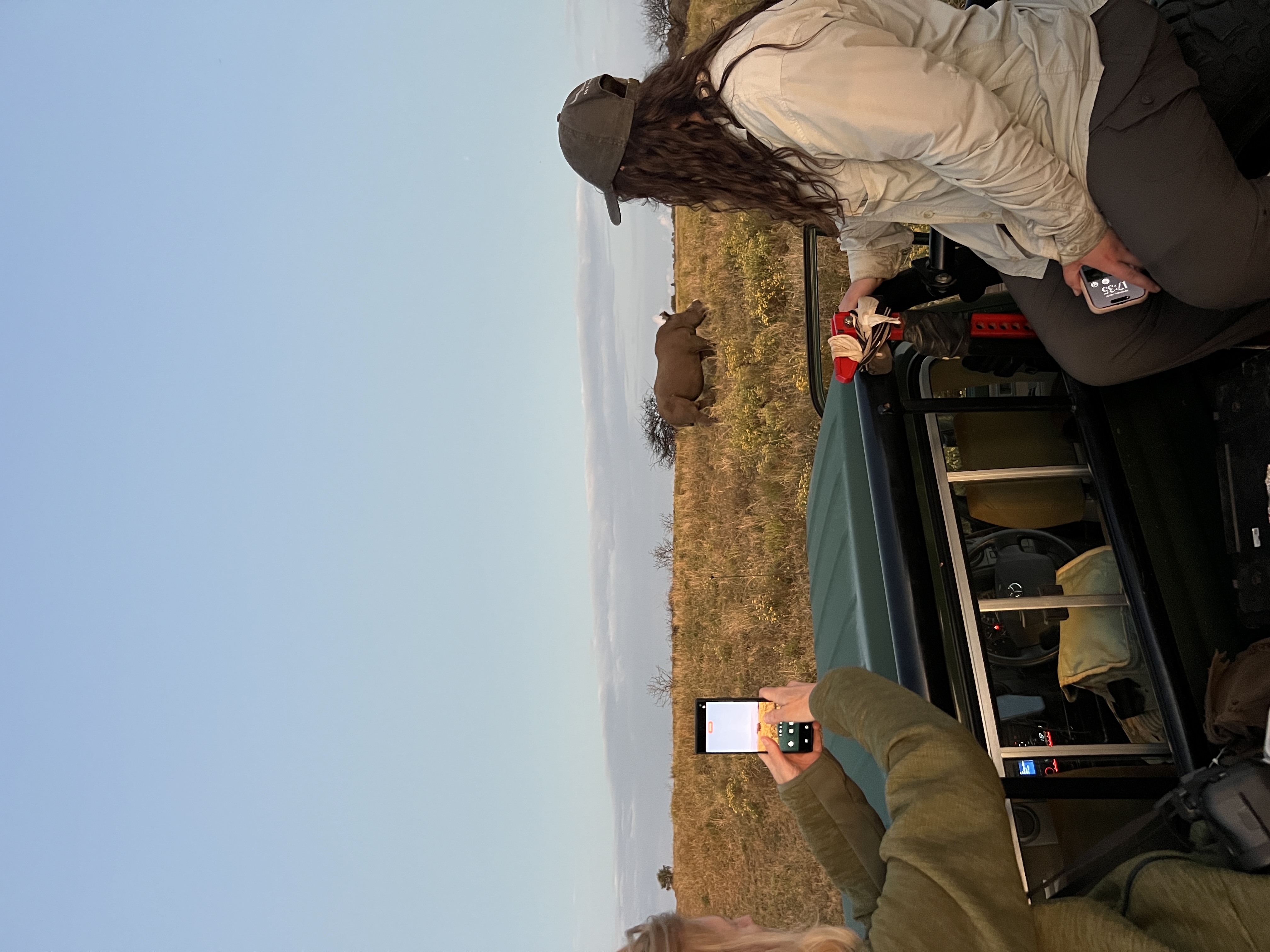 Isabella Drenthen - volunteers viewing a rhino from a vehicle 