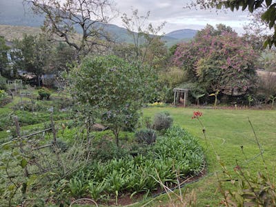 Accommodation garden, very green