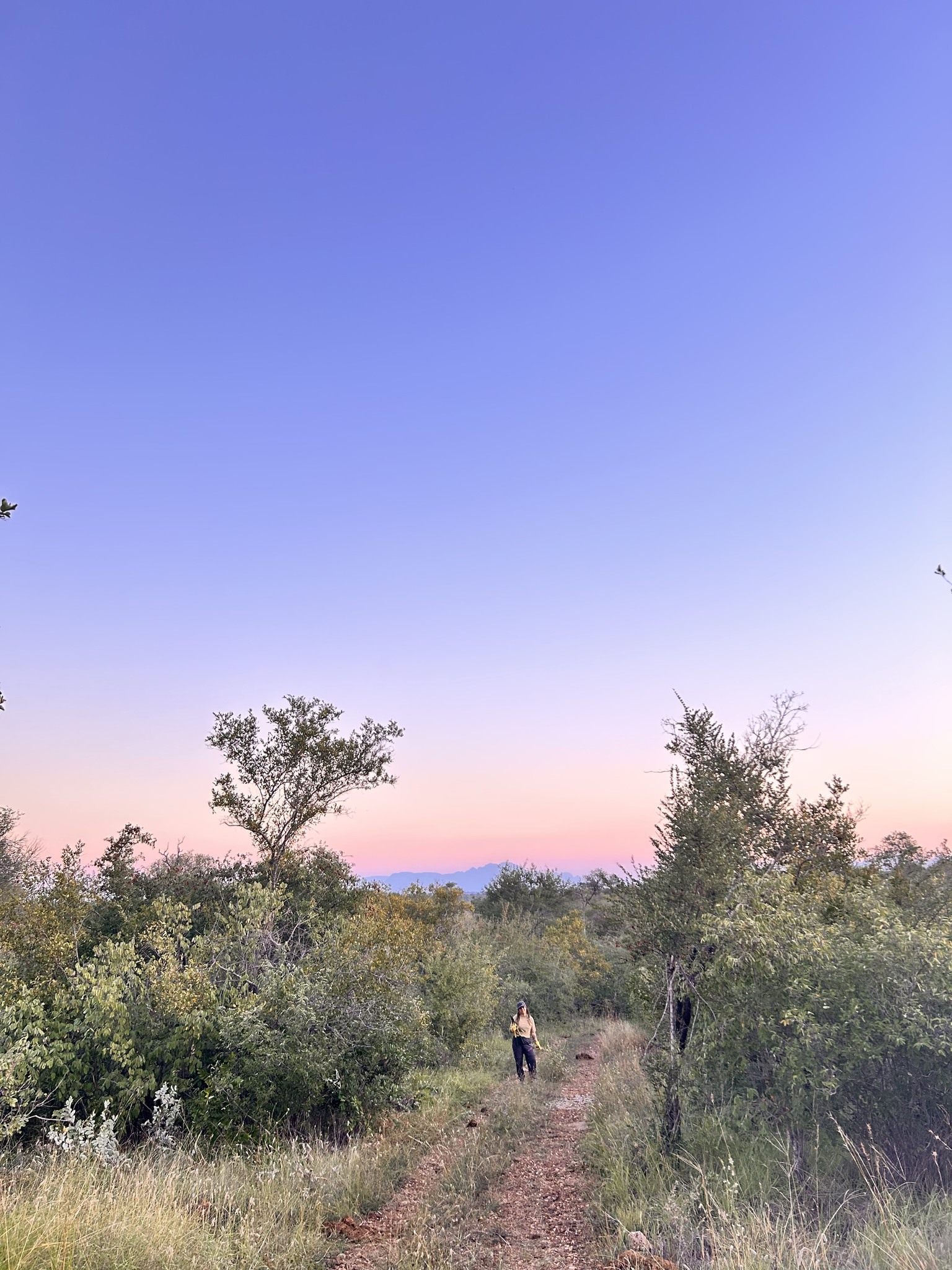 Katie Marshall - sunset over the bush 