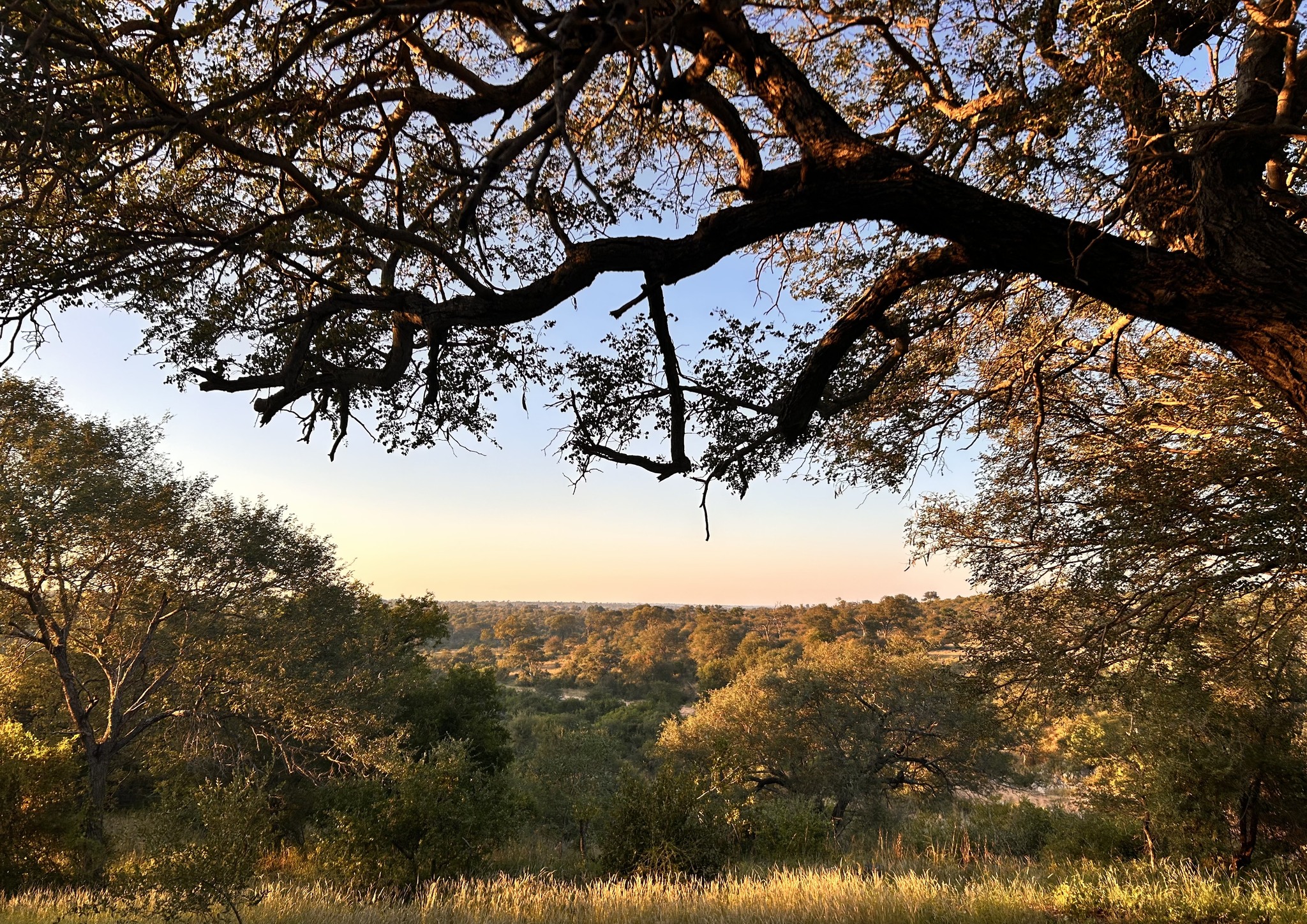 Katie Marshall - landscape