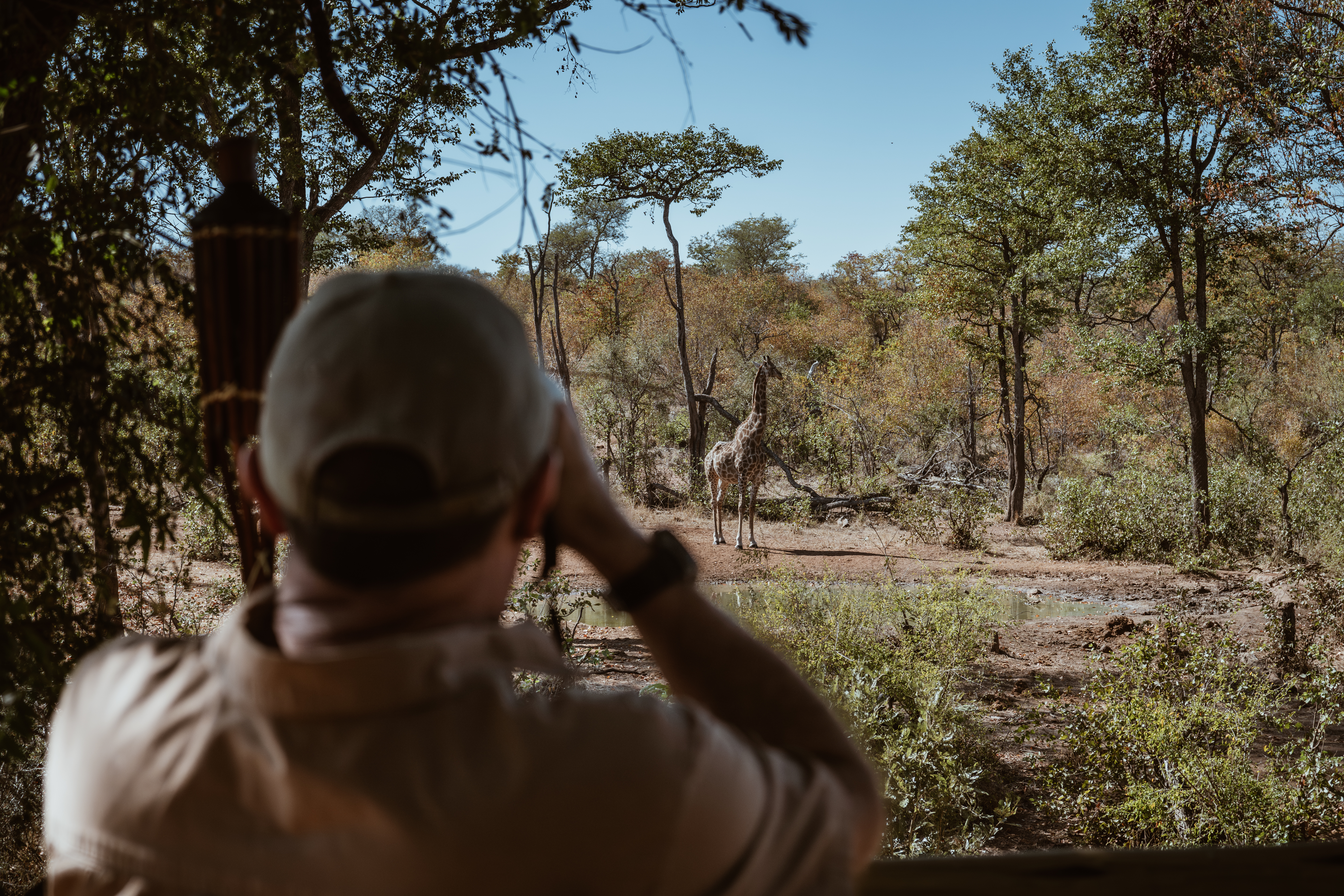 Monitoring at the Umsele Project